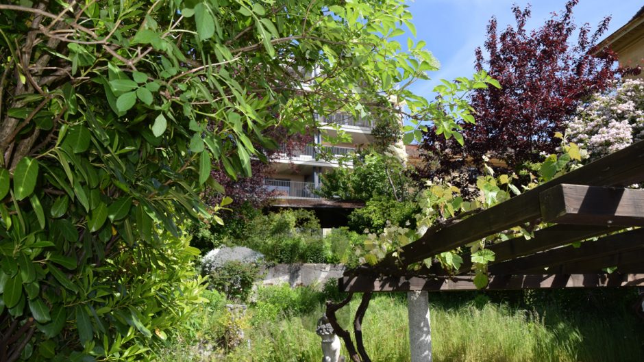 Gartenblick mit Balkon und Nachbargebäude