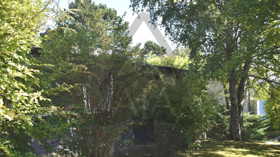 Gartenansicht mit Blick auf ein Hausdach