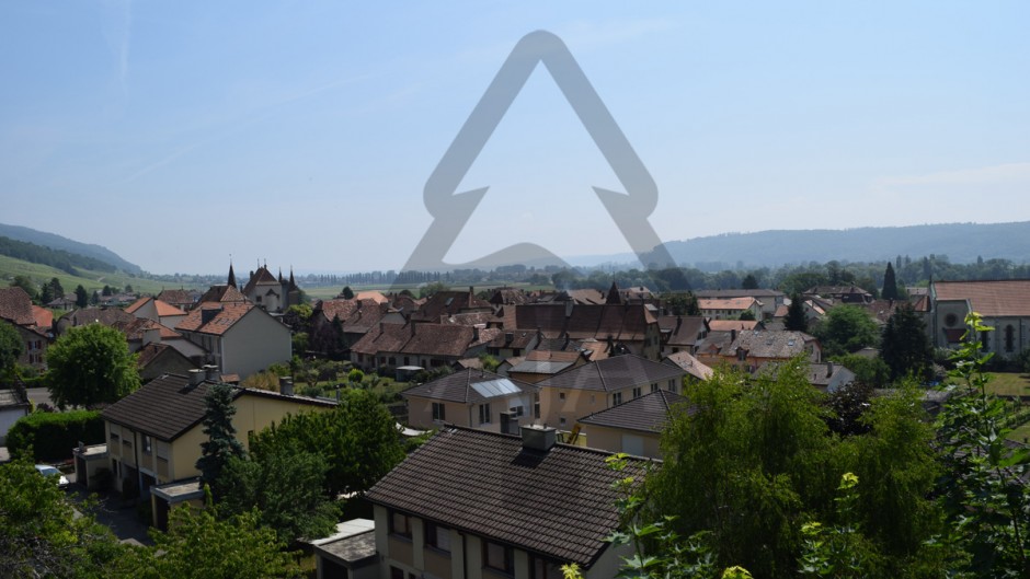Blick über eine Ortschaft mit roten Dächern