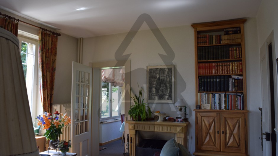 Wohnzimmer mit Bücherregal und Kamin