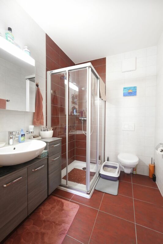 Modernes Badezimmer mit Dusche, Waschplatz und WC