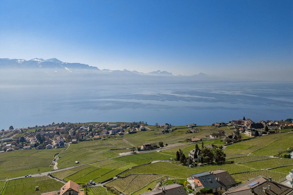 Seeblick über Weinberge
