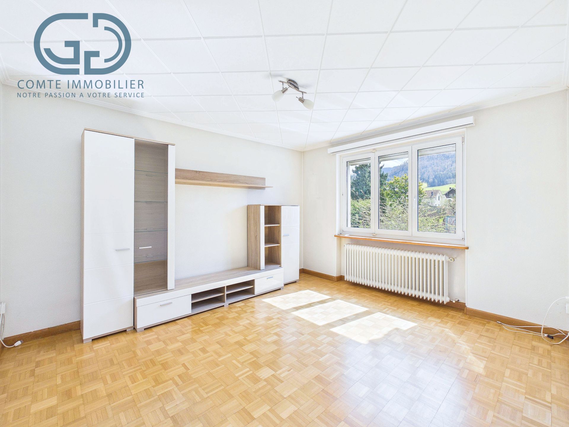 Helles, leeres Zimmer mit Parkett und Fensterblick