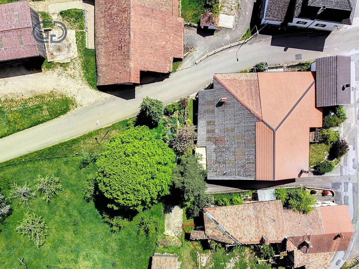 Luftaufnahme eines Wohnviertels mit Häusern und Gartenflächen