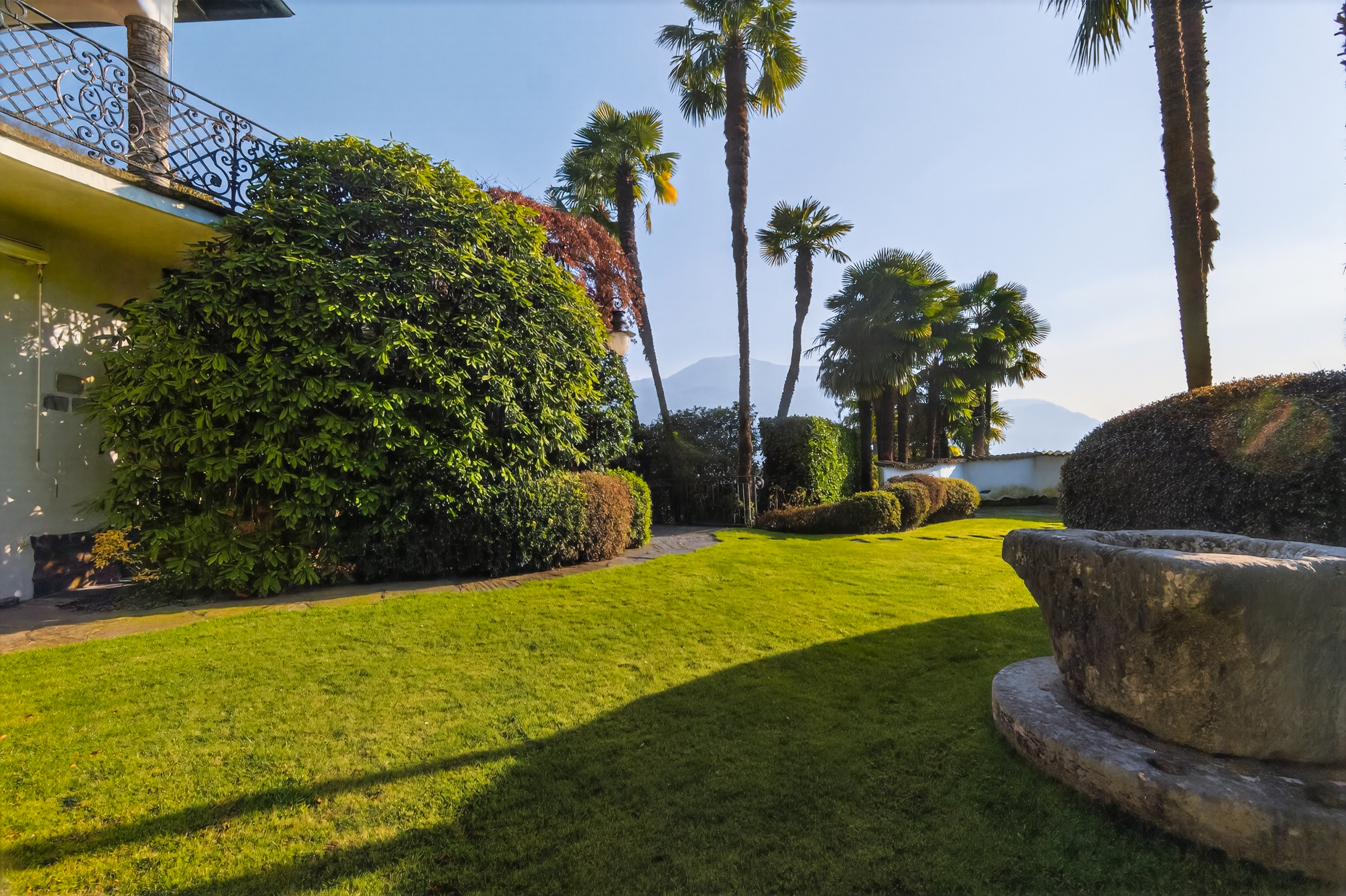 Mediterraner Garten mit Palmengarten und Blick auf Berge