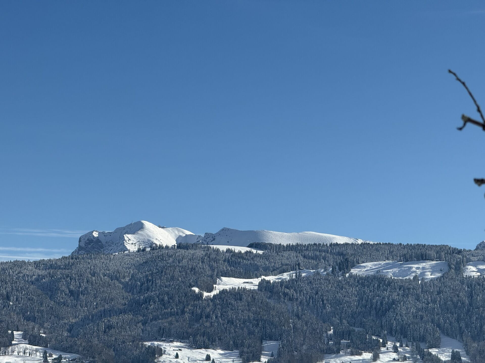 Schneebedeckte Berglandschaft mit Wald