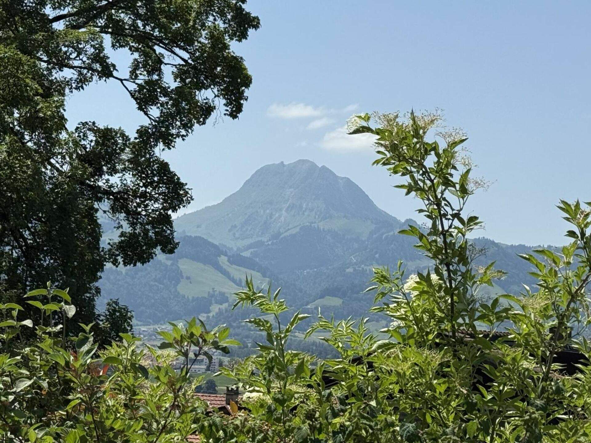 Bergblick durch Gartenbepflanzung