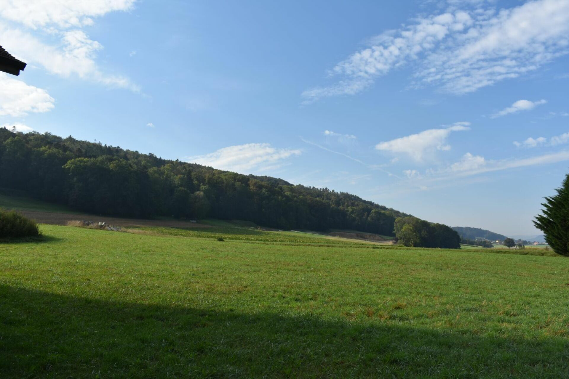 Ländliche Wiese mit weitem Ausblick