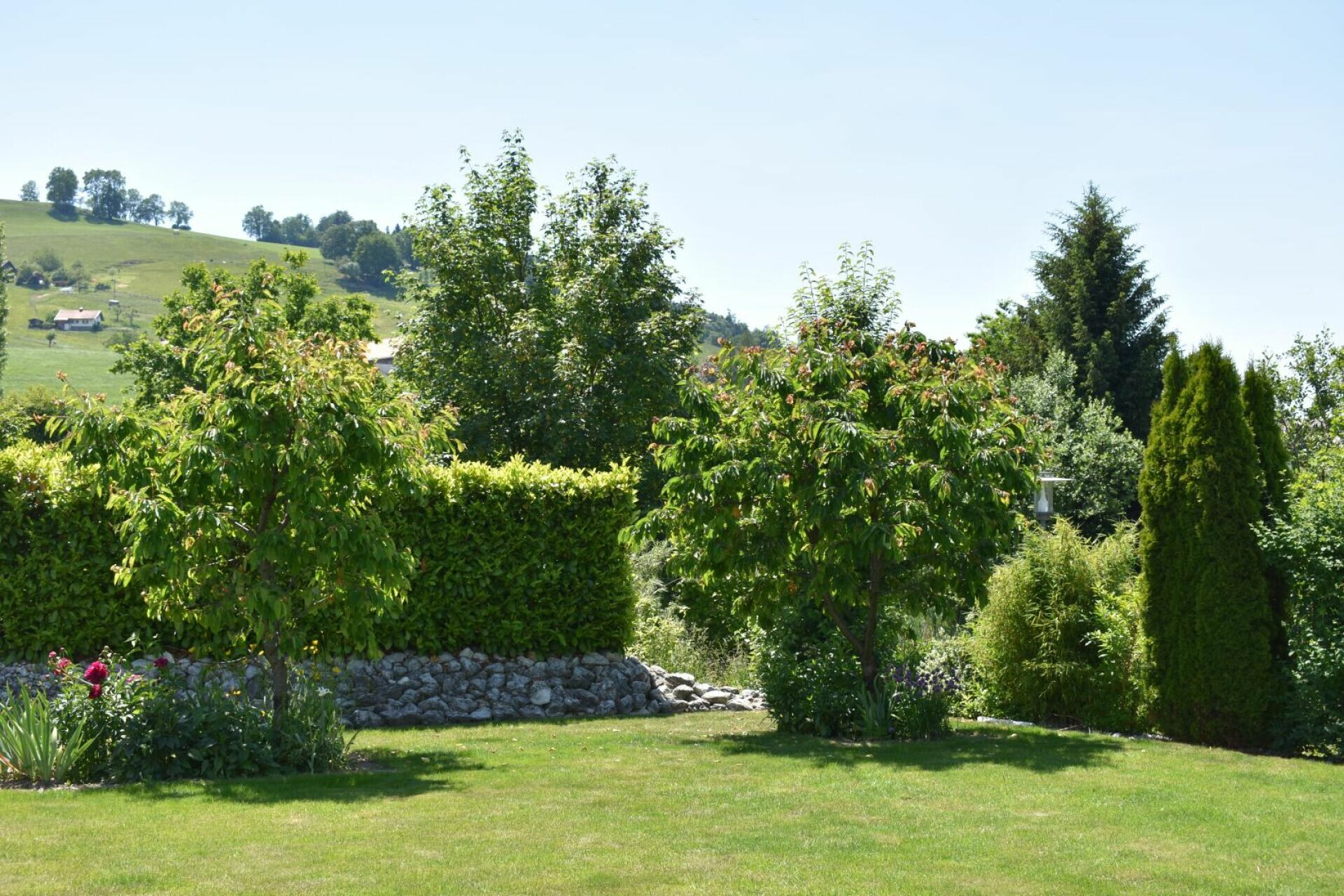Ländlicher Garten mit Hügelblick
