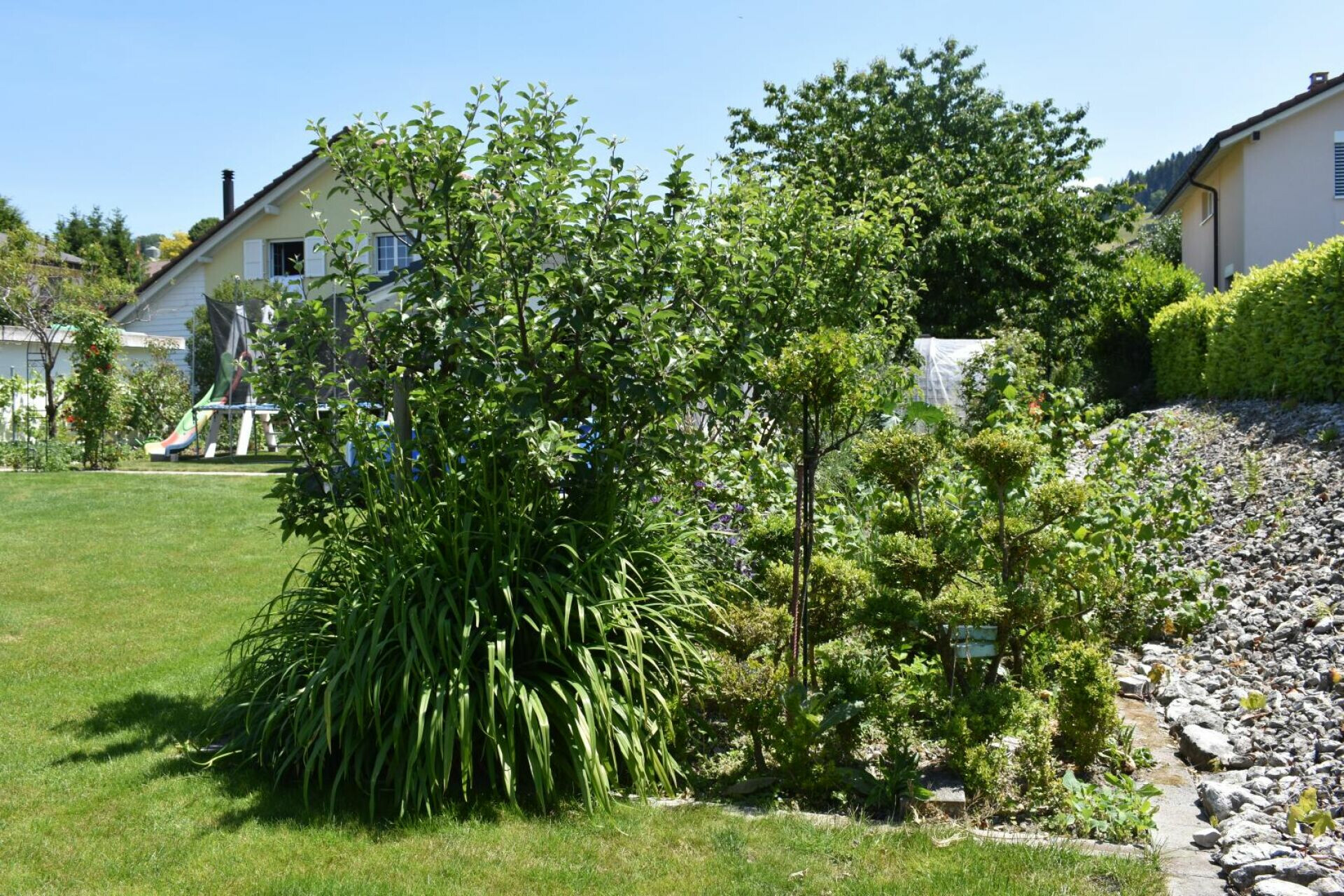 Großzügiger Garten mit Wohnhaus im Hintergrund