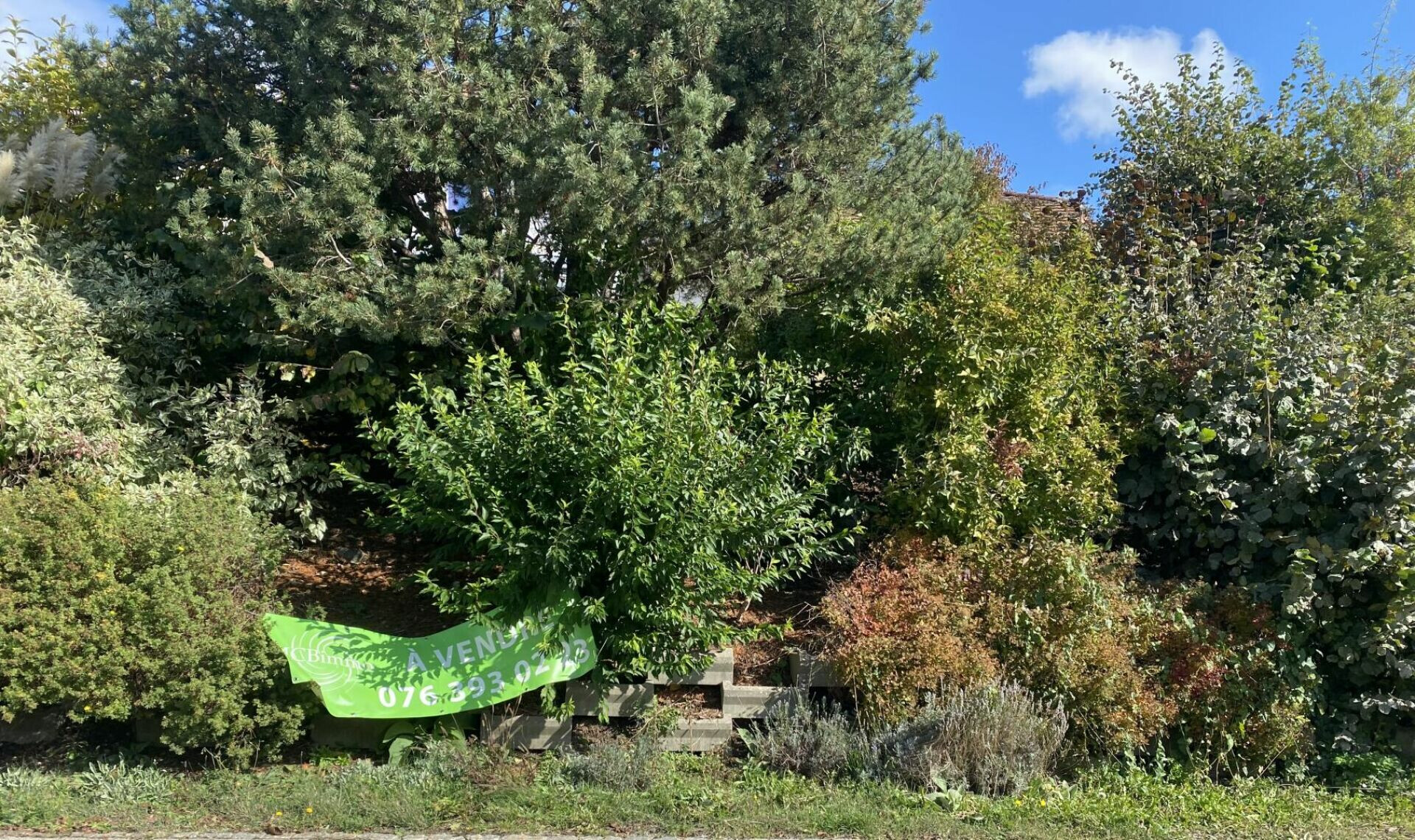 Bewachsene Gartenansicht mit Verkaufsbanner