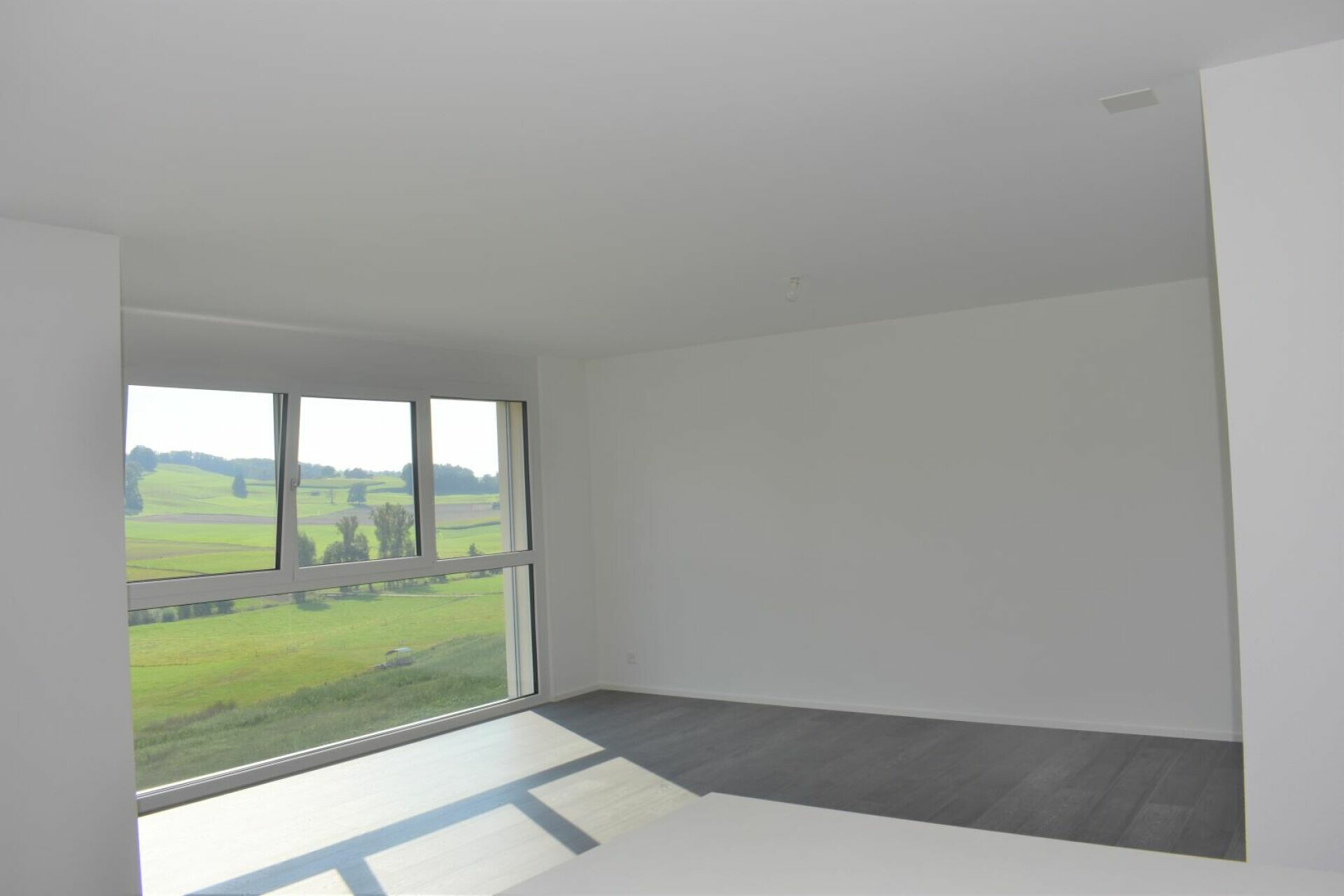 Heller, leerer Wohnraum mit Panoramafenster und Grünblick