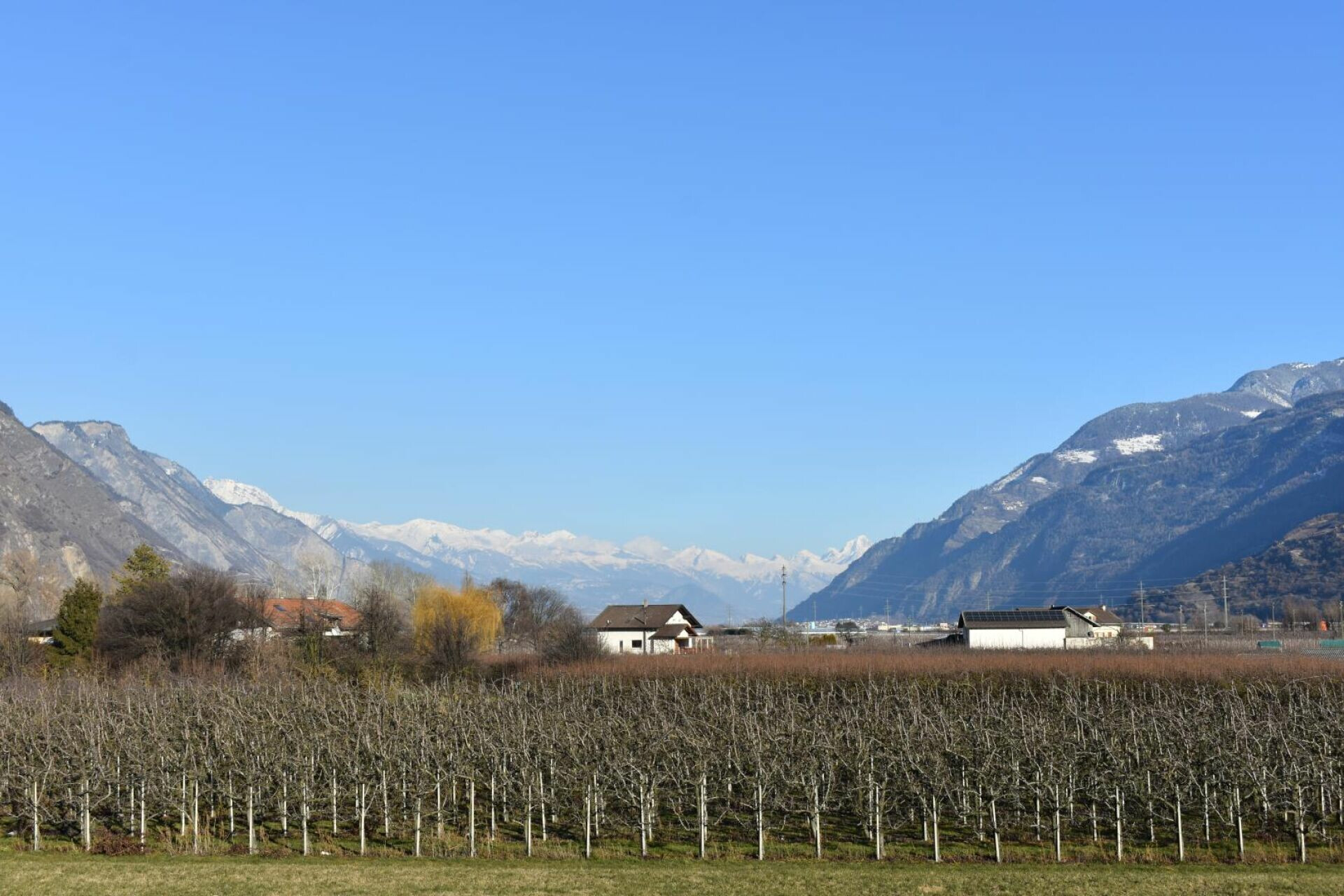 Landschaft mit Bergen und Obstgarten