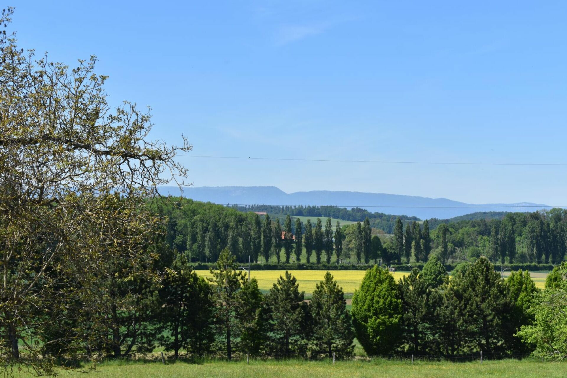 Landschaftsblick ins Grüne
