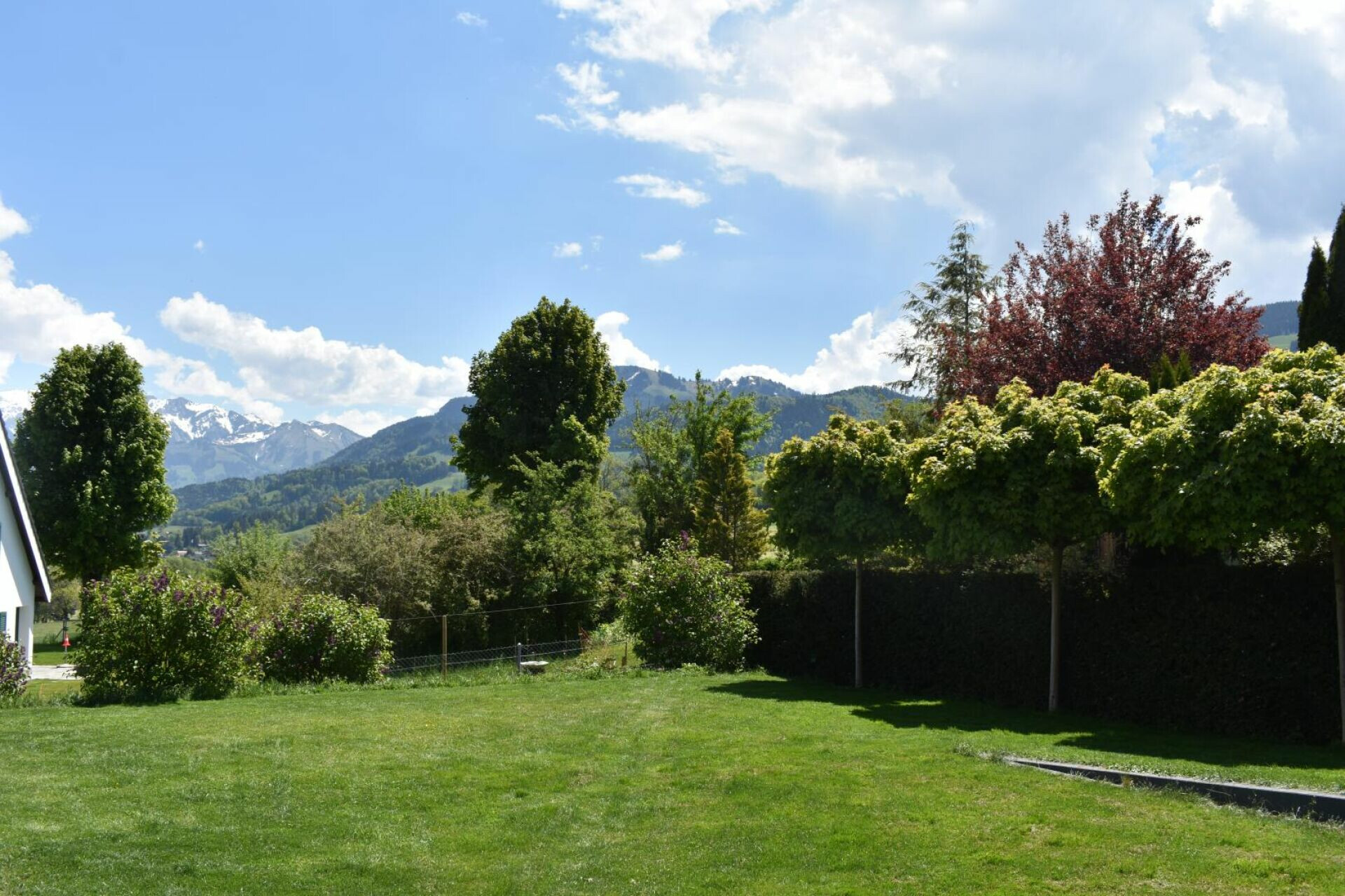 Großer Garten mit Bergblick