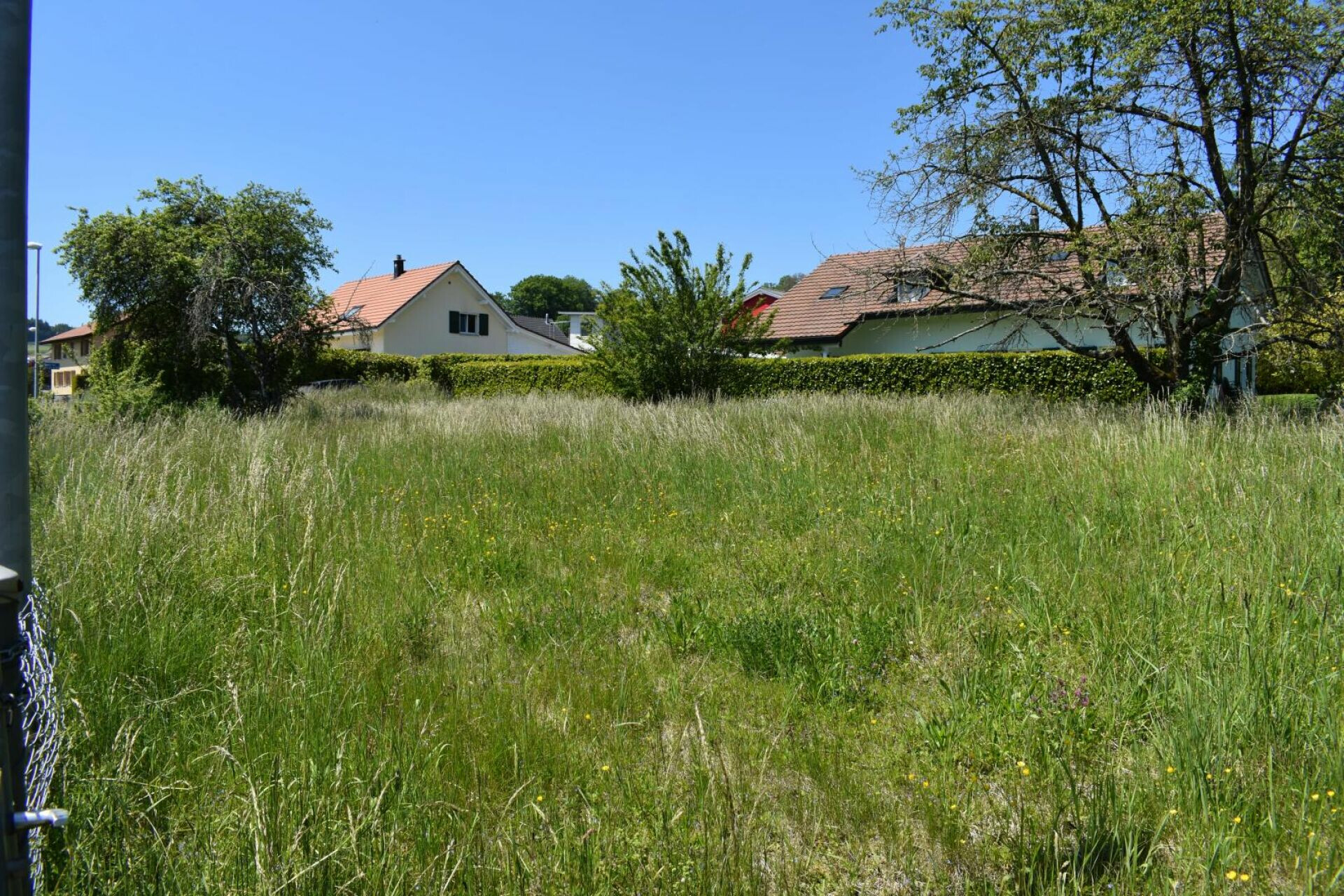 Wiese vor Wohnhäusern
