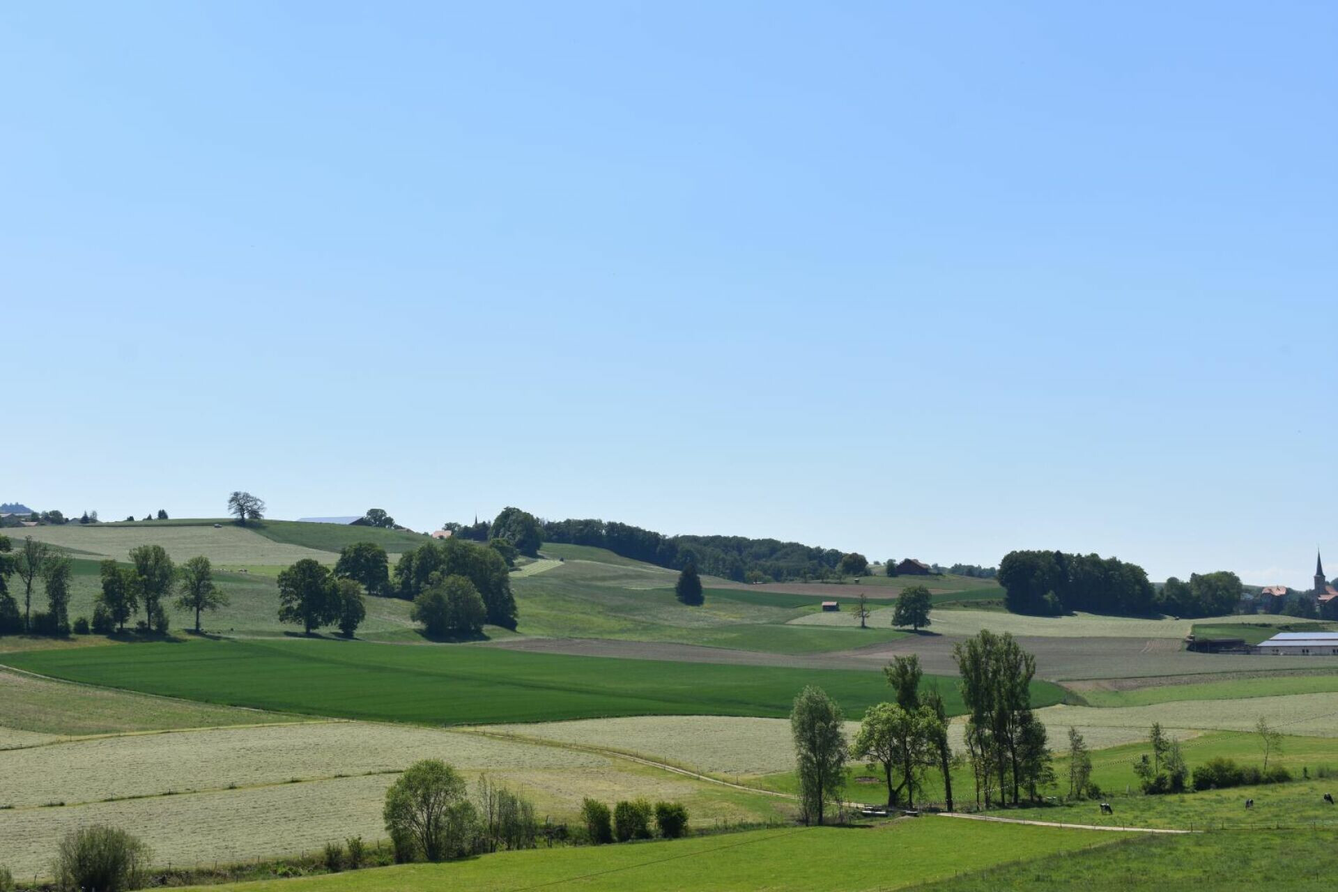Landschaft mit Wiesen und Hügeln