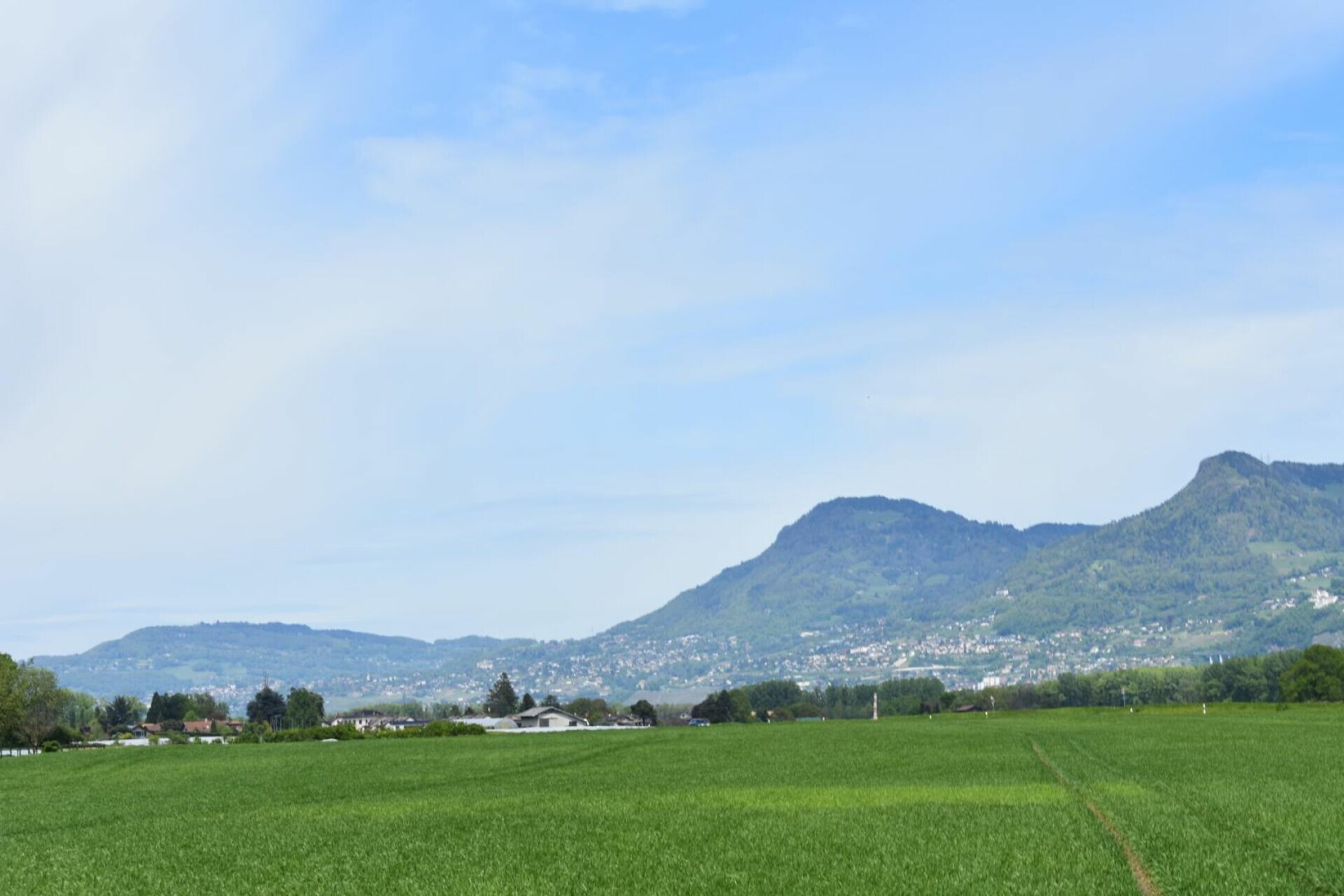 Landschaft mit Wiese und Bergblick