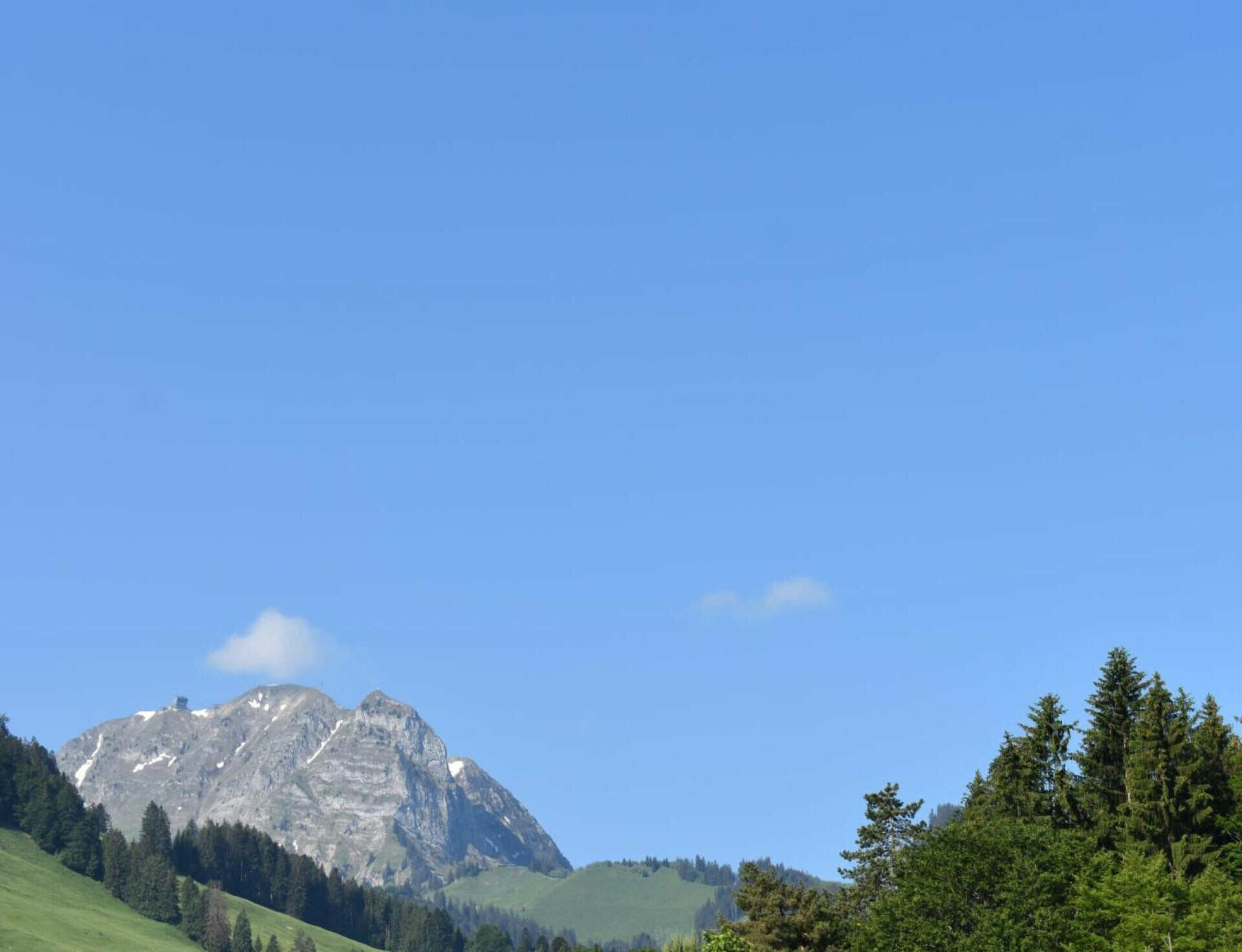 Alpenlandschaft mit Berggipfel und Wald