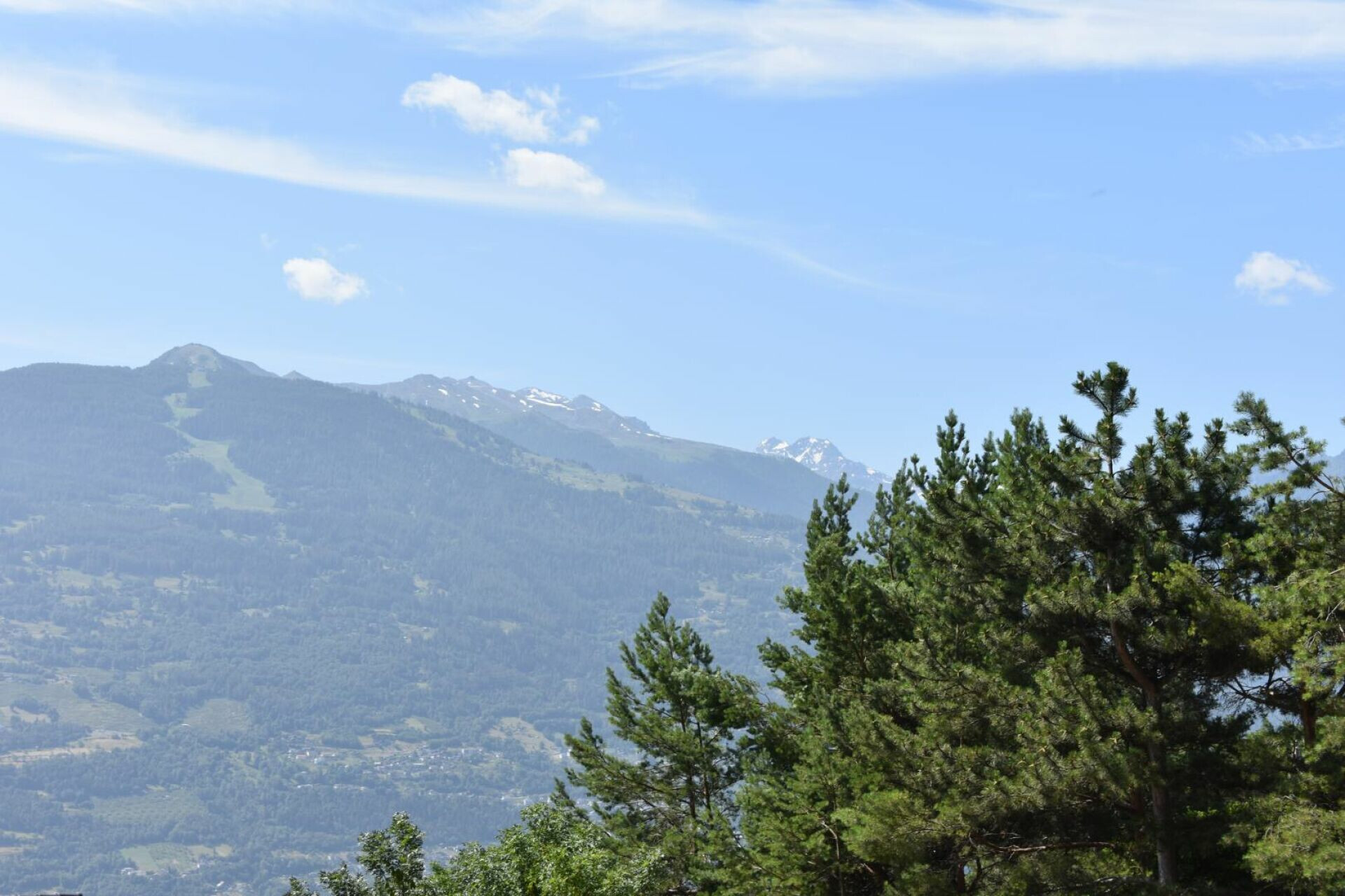Berglandschaft mit Kiefern und weiter Fernsicht