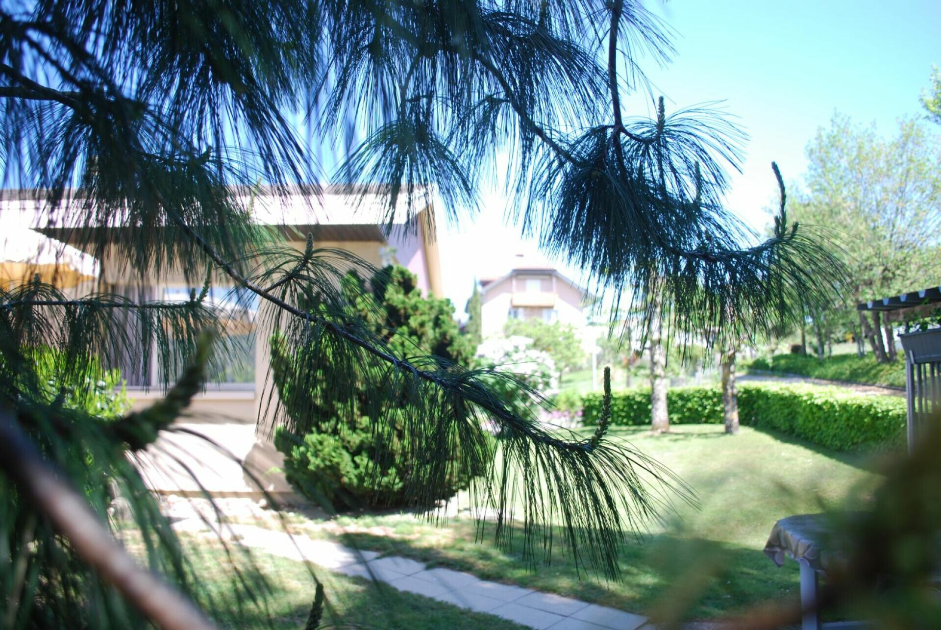 Gartenblick mit Blick auf Wohngebäude