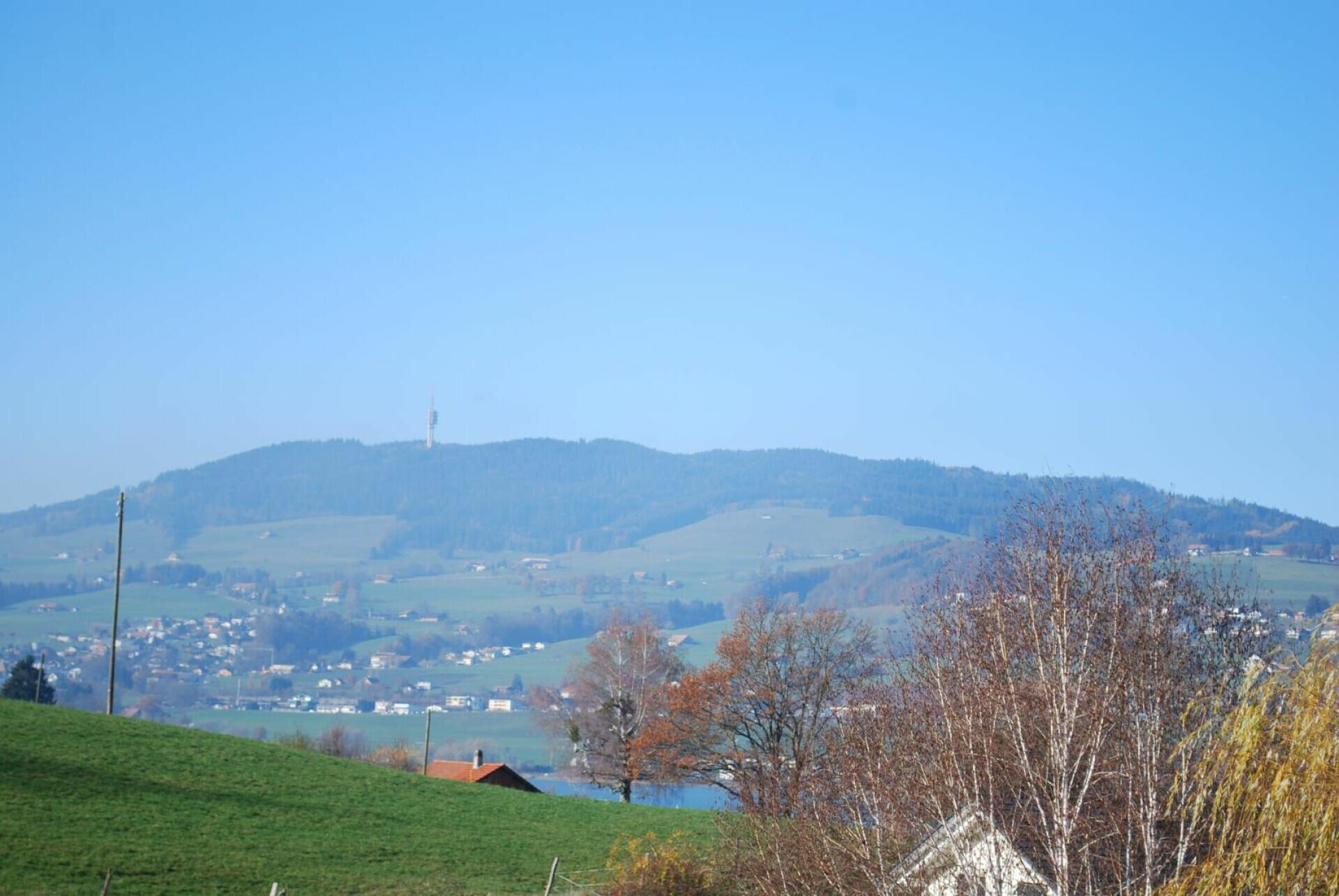 Weitblick über grüne Hügellandschaft