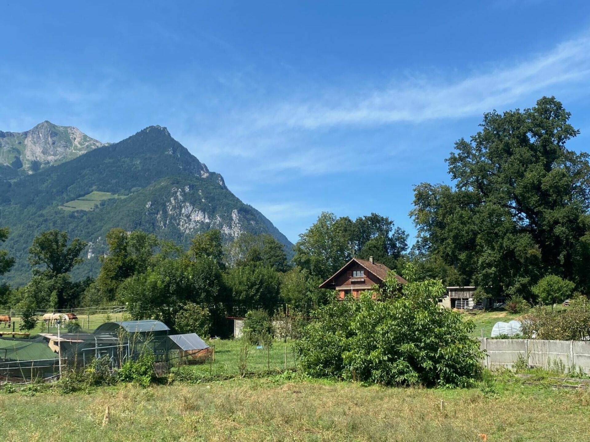 Ländliche Alpenlandschaft mit Haus und Wiesen