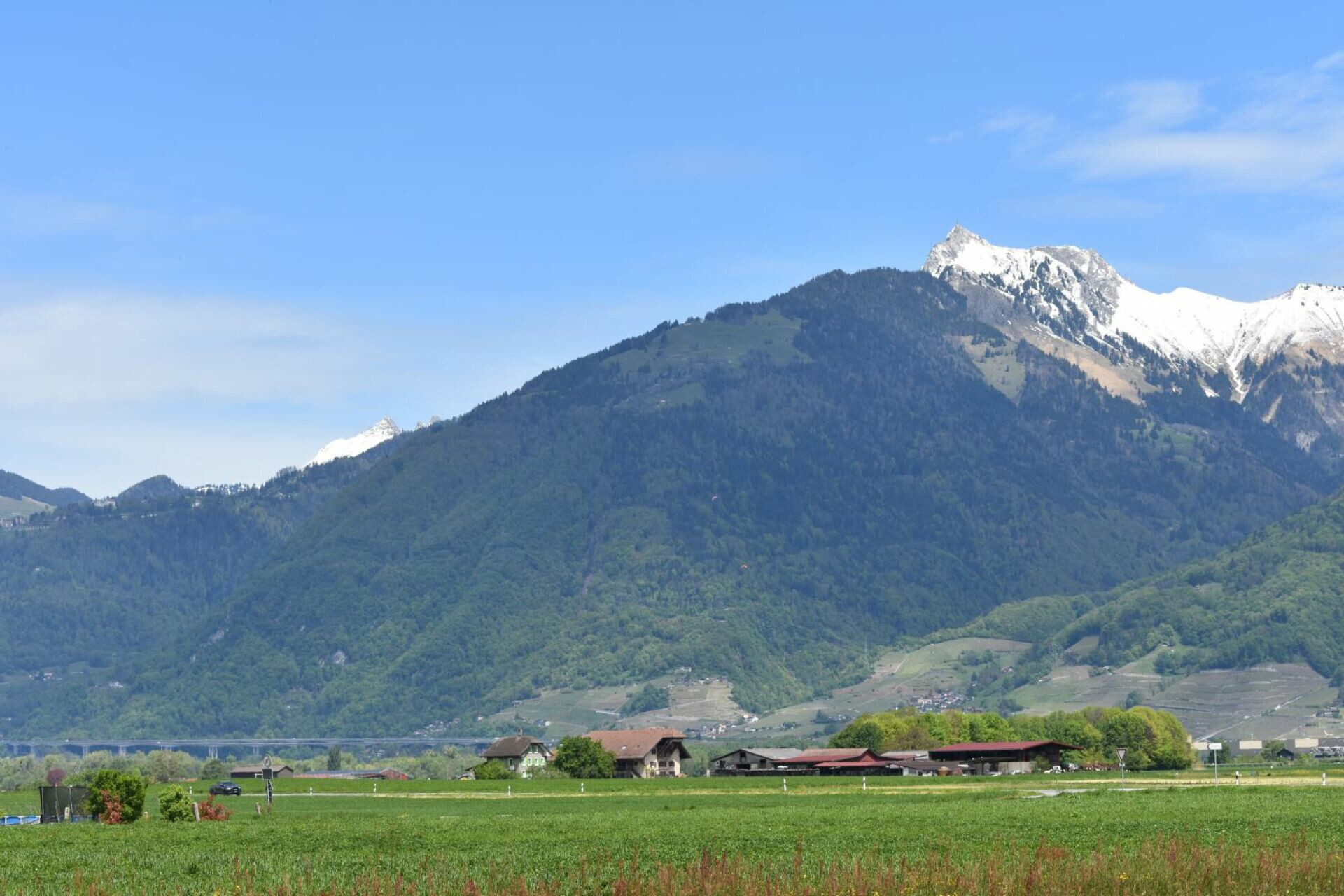 Alpenlandschaft mit schneebedecktem Gipfel