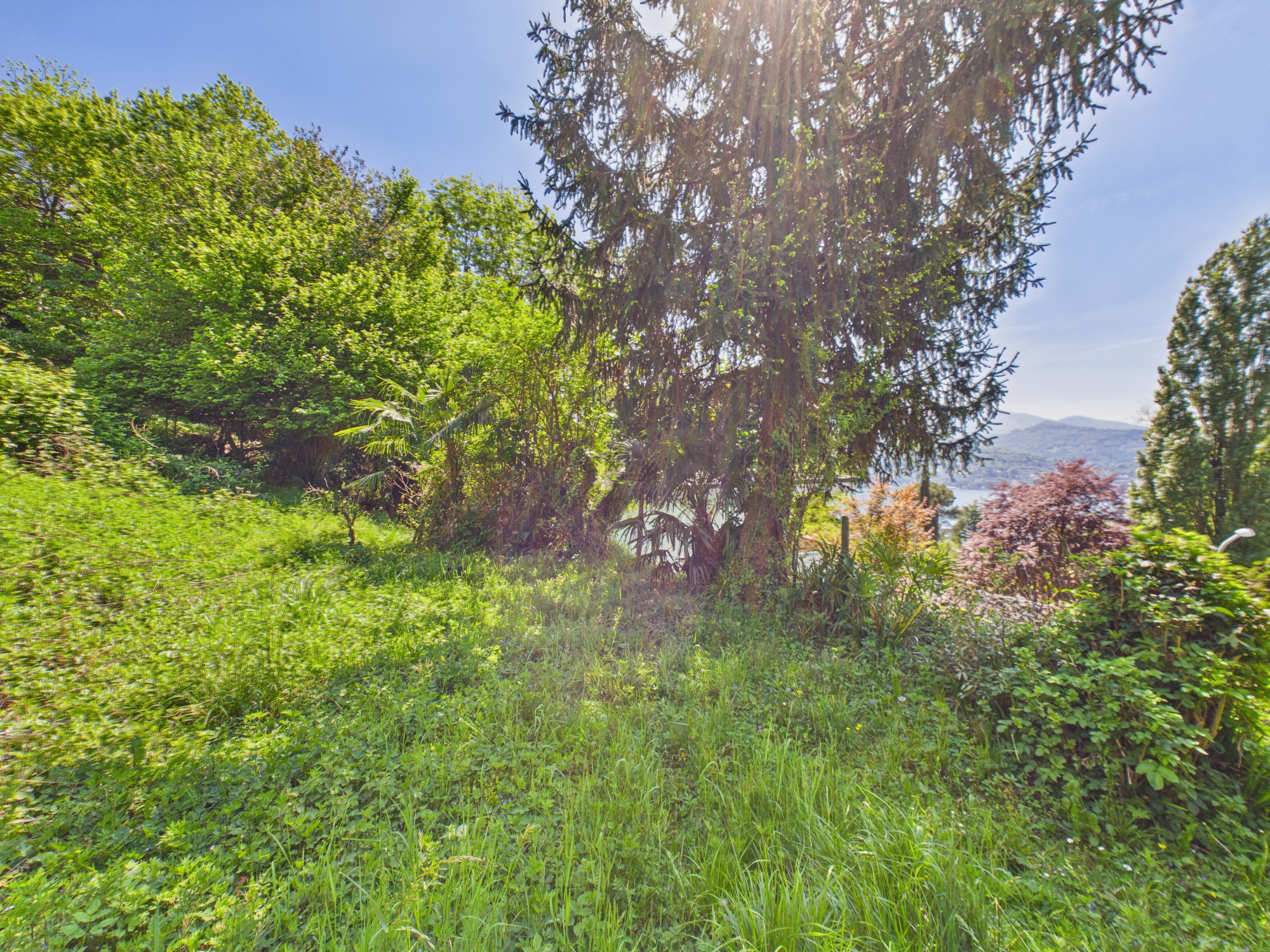 Grüne Gartenlandschaft mit Fernblick