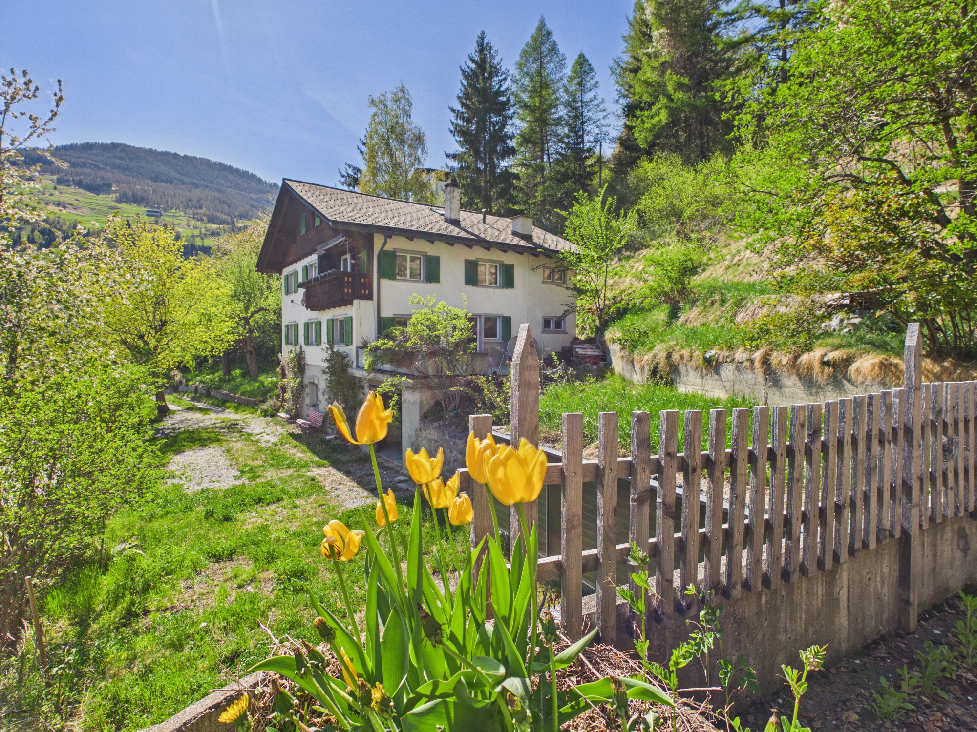 Berghaus mit Garten und Alpenblick