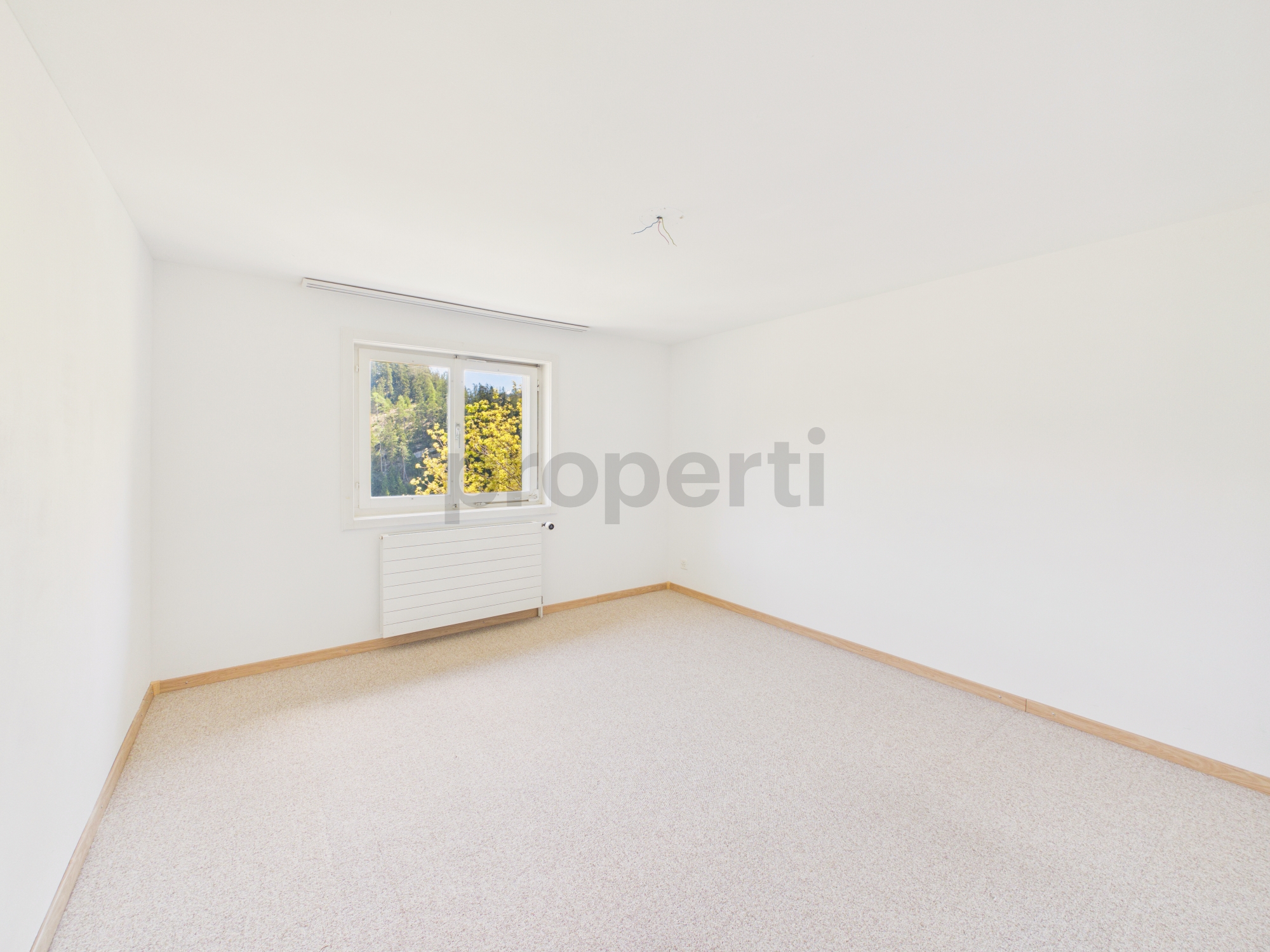 Leerer heller Raum mit Fenster und Teppichboden