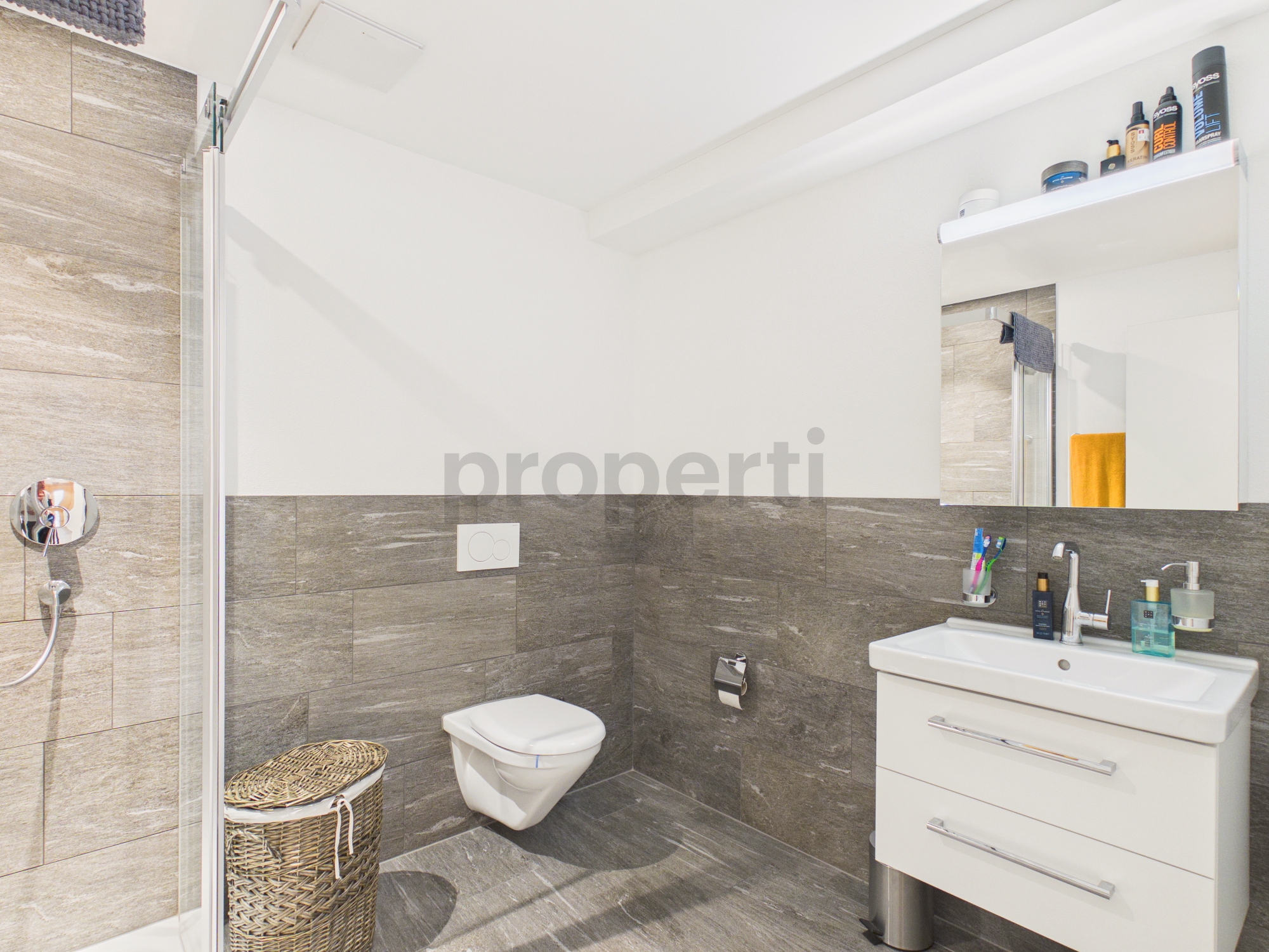 Modernes Badezimmer mit WC, Dusche und Waschtisch