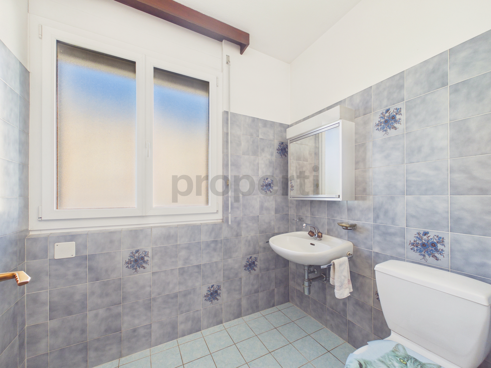 Kleines Badezimmer mit WC und Waschtisch