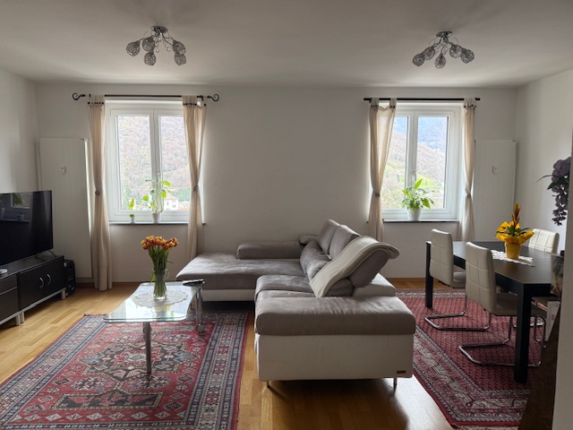 Helles Wohnzimmer mit Ecksofa und Esstisch