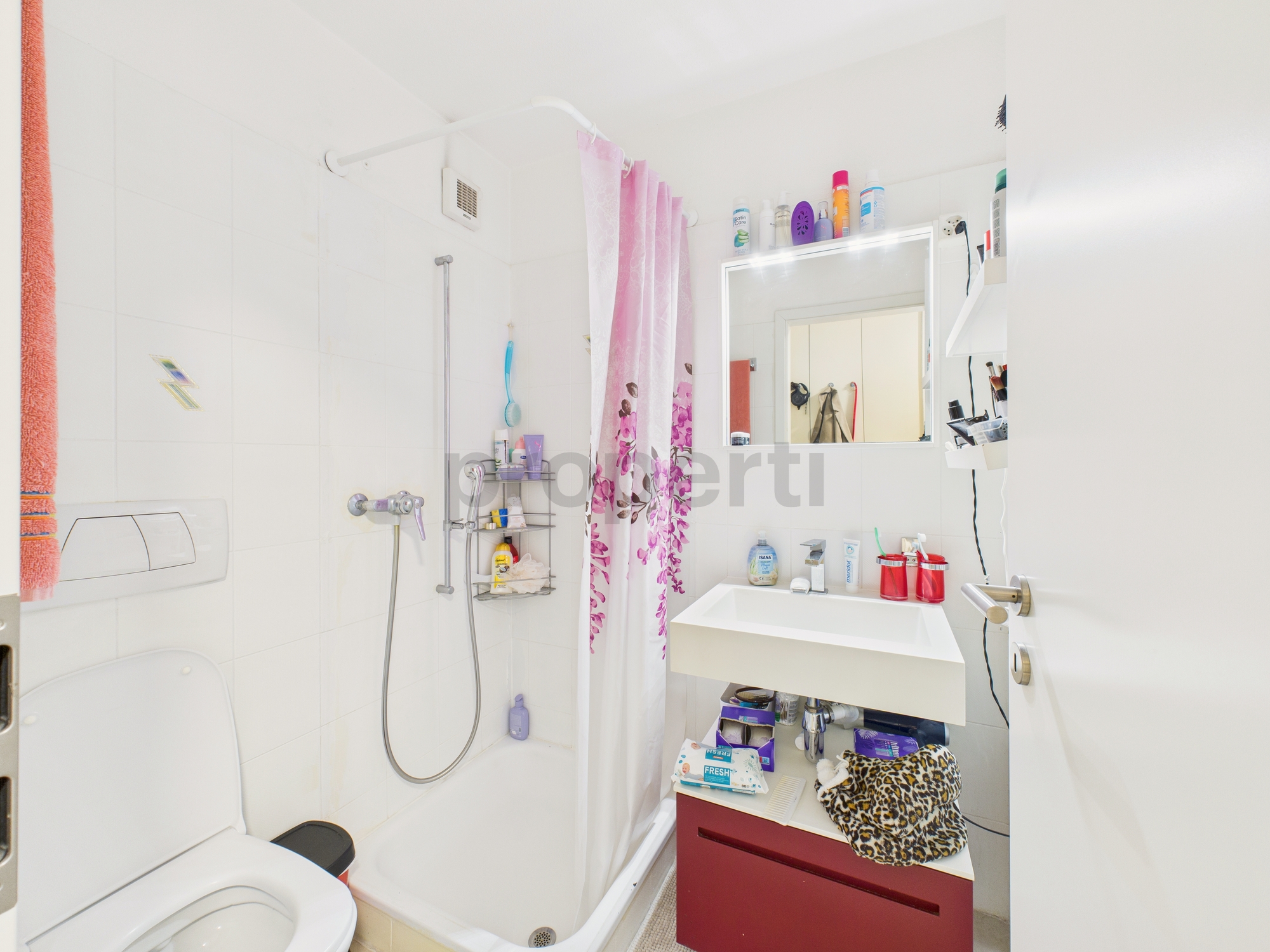 Kleines, helles Badezimmer mit Dusche und Waschplatz