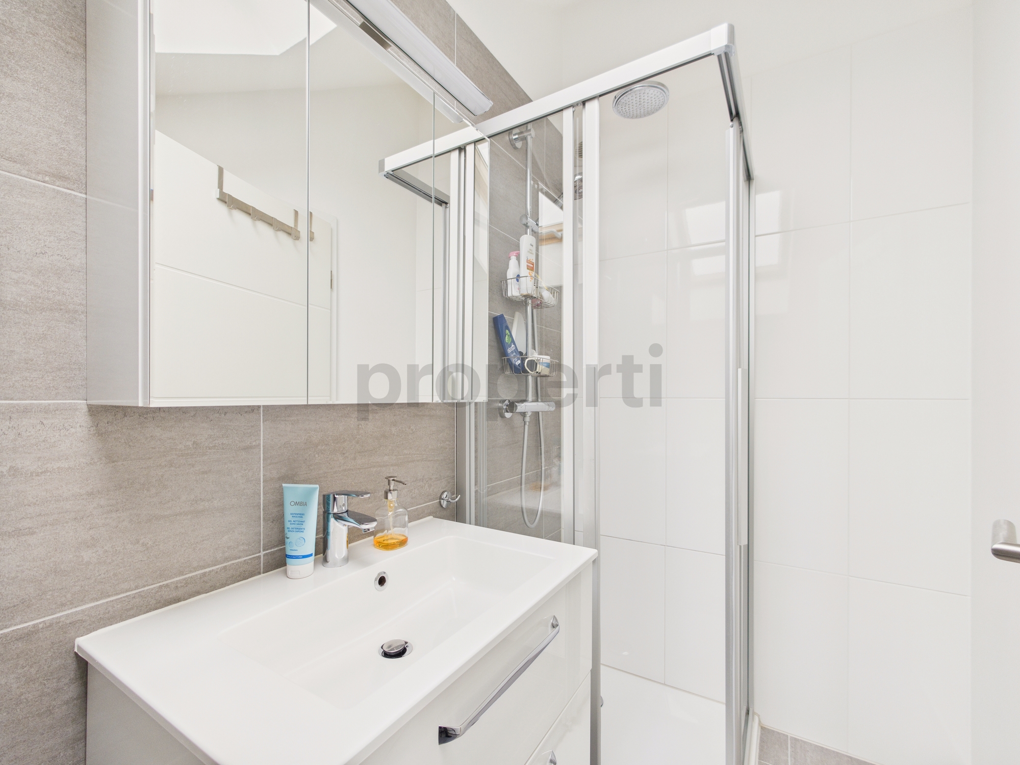 Modernes Badezimmer mit Dusche und Waschtisch