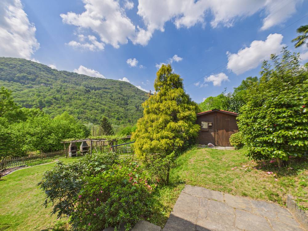 Garten mit Berghintergrund