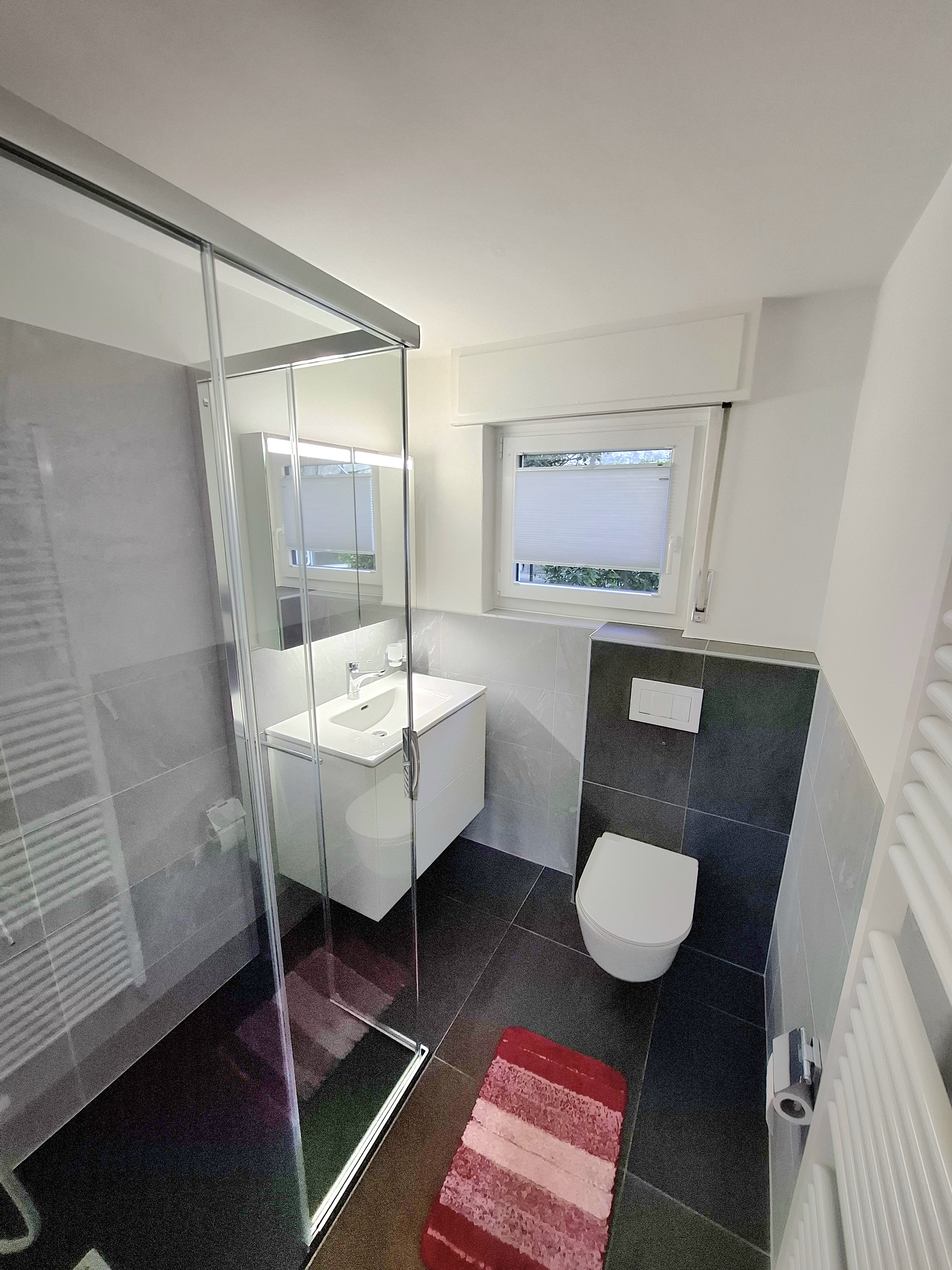 Modernes Bad mit Dusche und WC