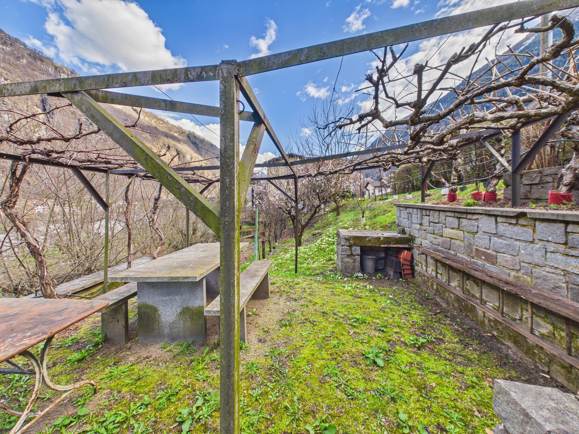 Weinberg mit Pergola und Sitzplatz