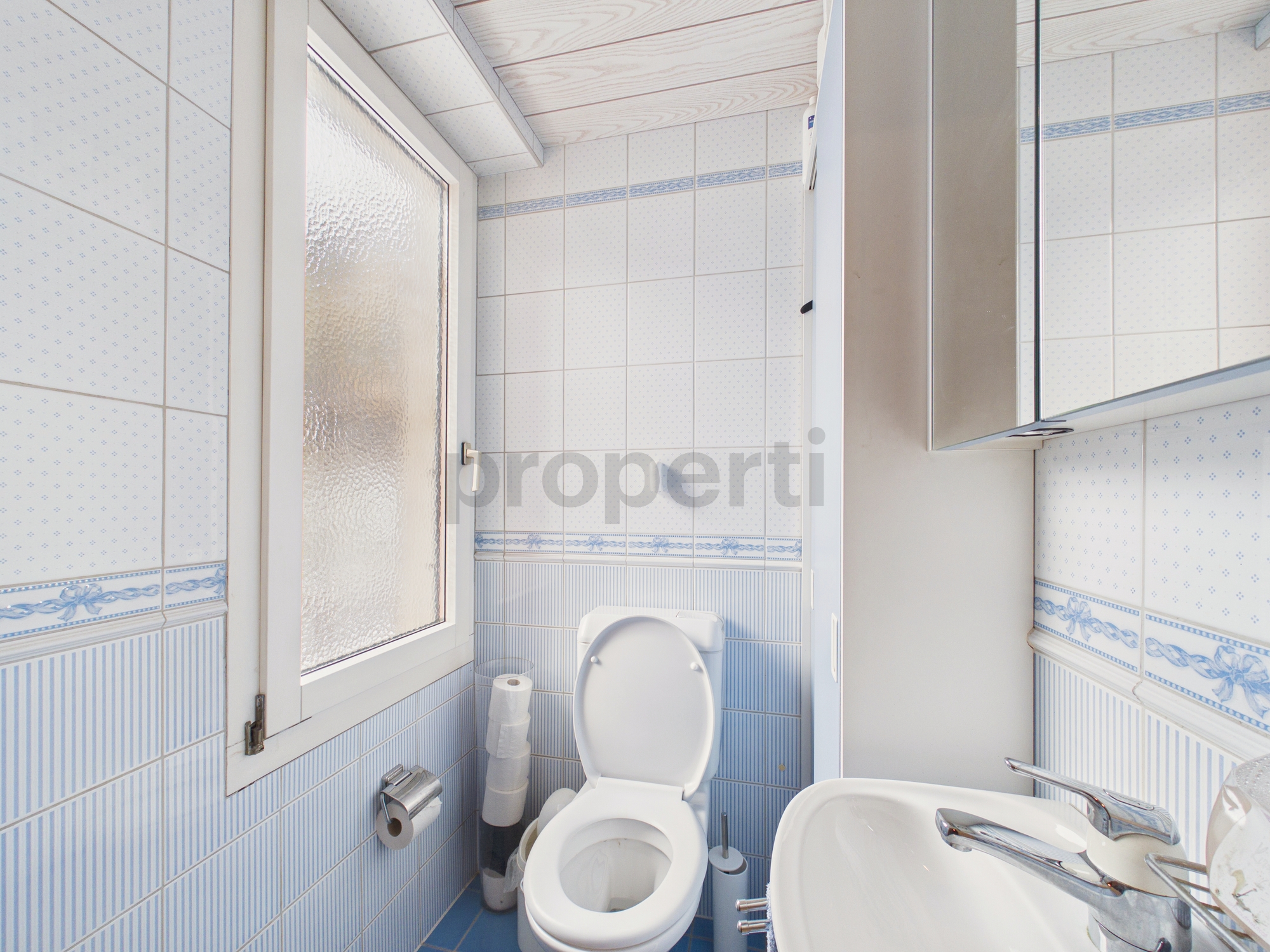Kleines Gäste-WC mit blau-weißen Fliesen
