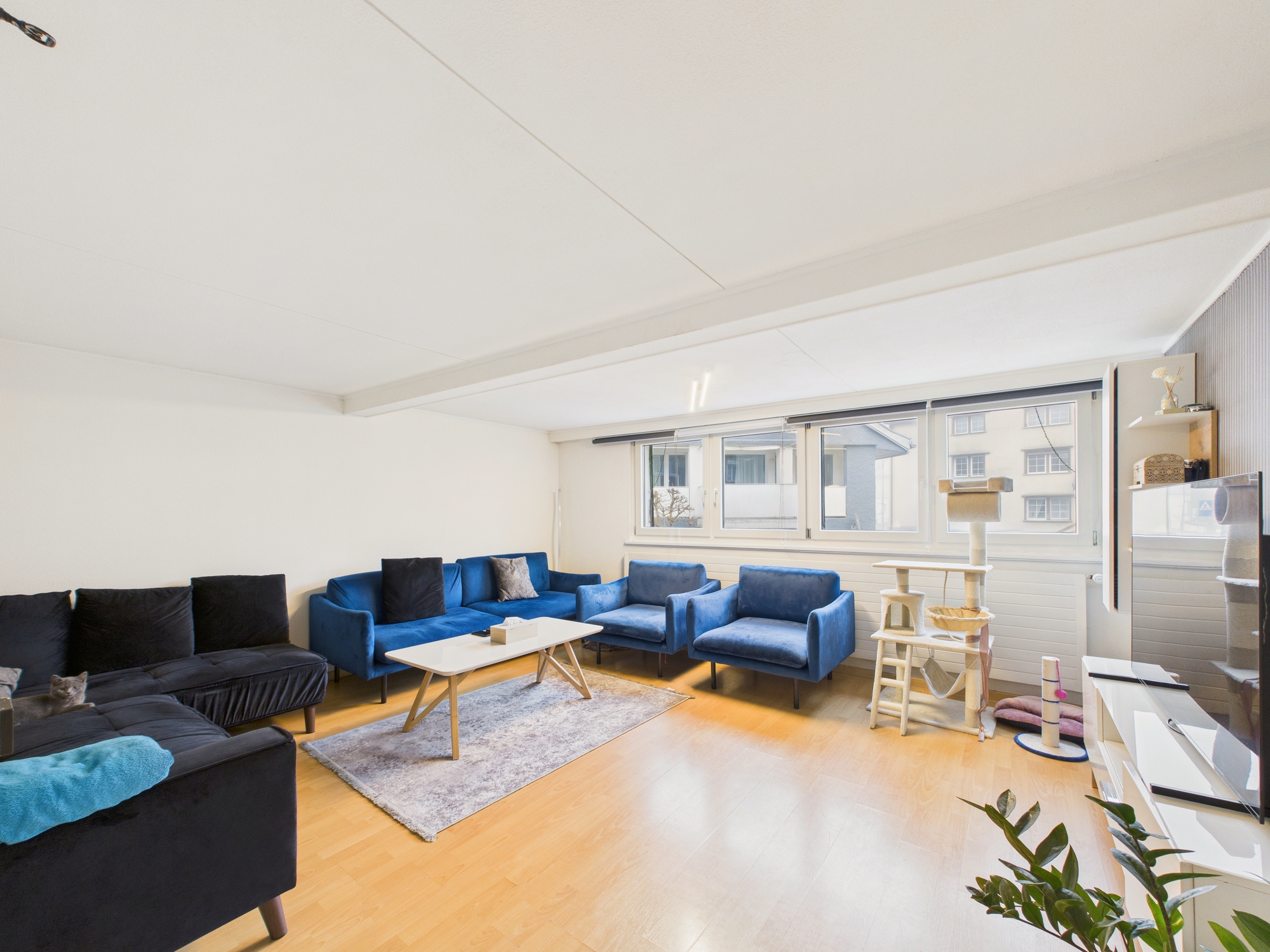 Heller Wohnraum mit Sofaecke