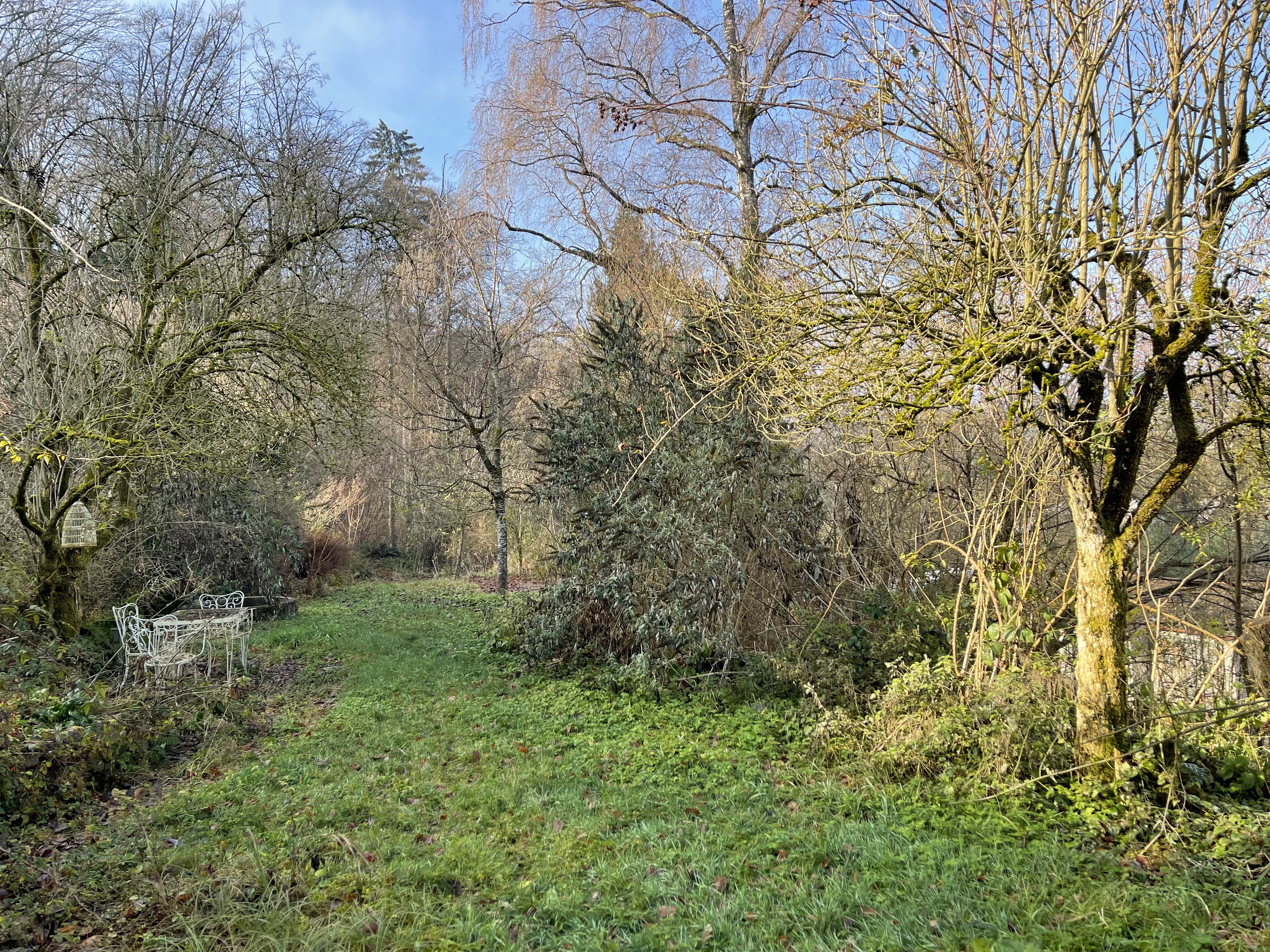 Garten mit Wiese und Bäumen