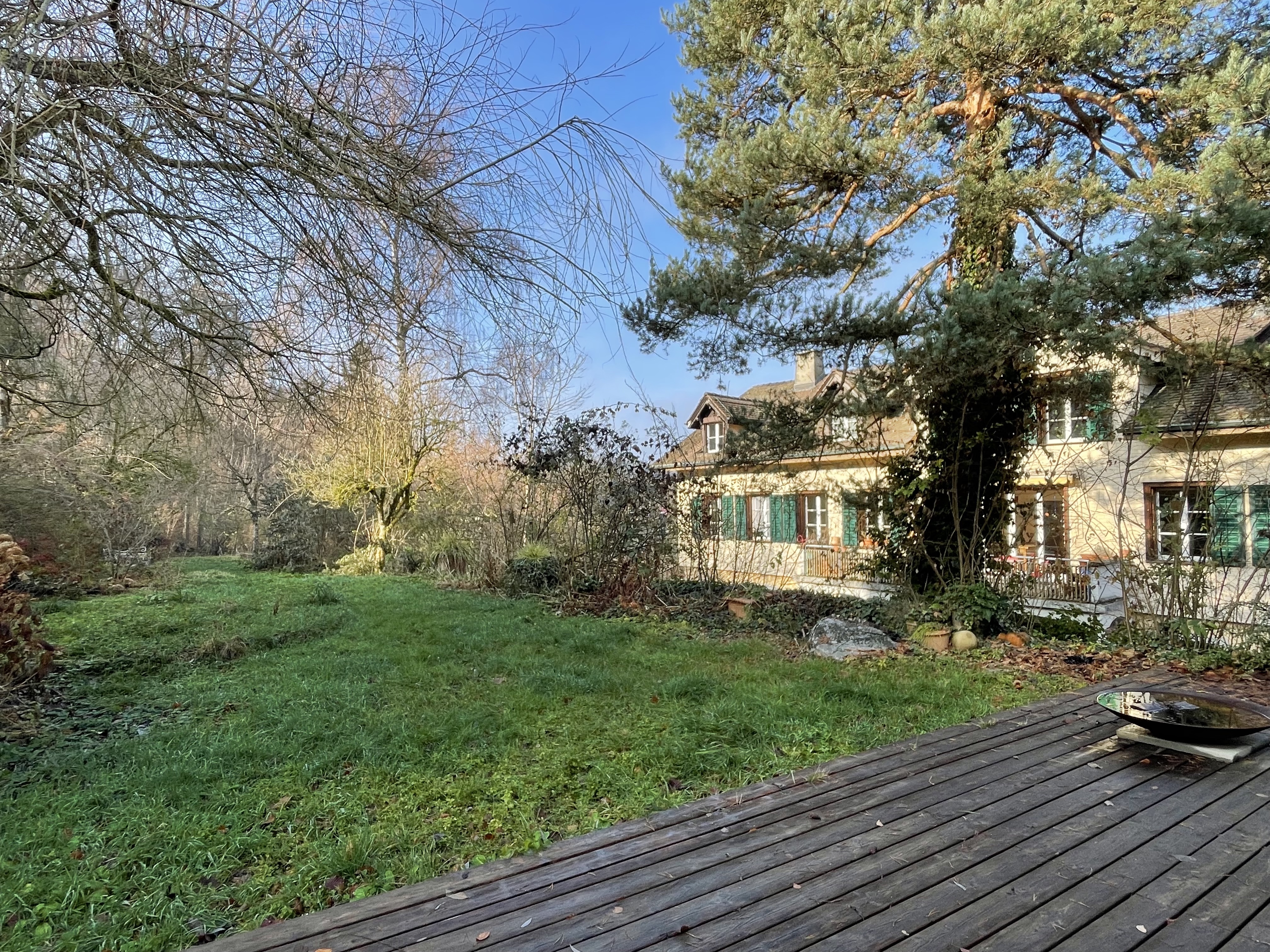 Gartenansicht eines Hauses mit Terrasse