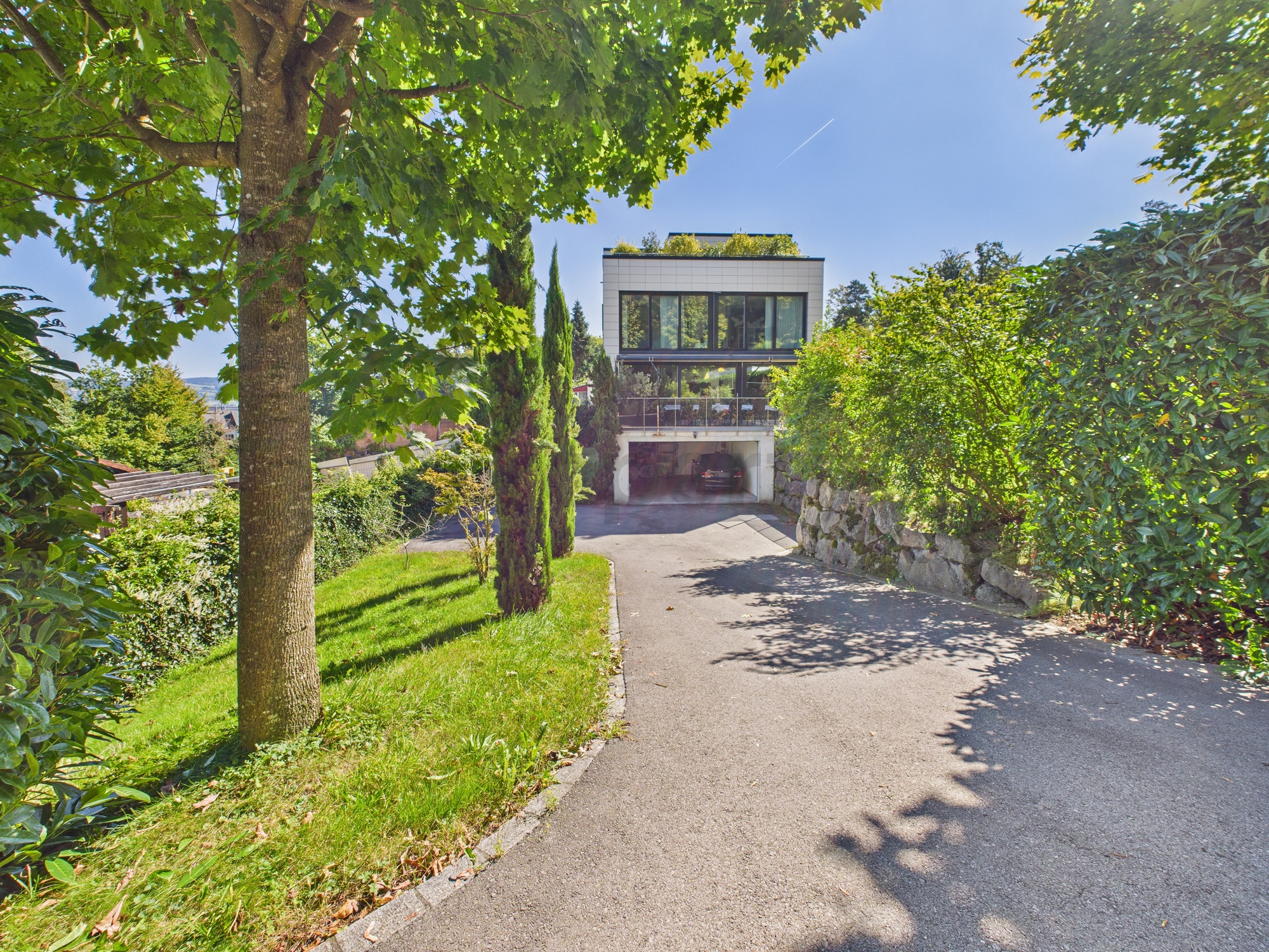 Modernes Haus mit Zufahrt und üppiger Begrünung