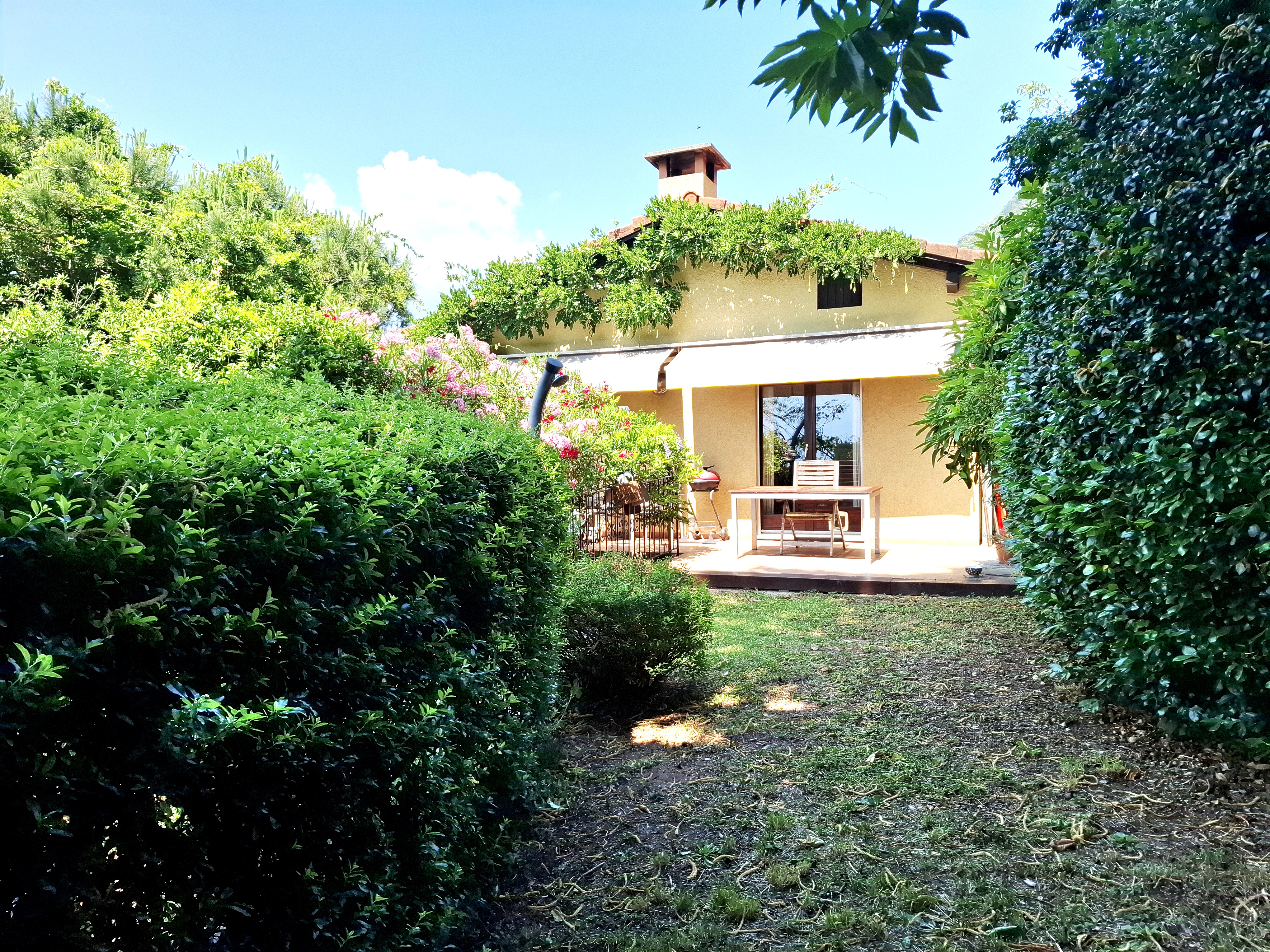 Gartenansicht eines Hauses mit Terrasse