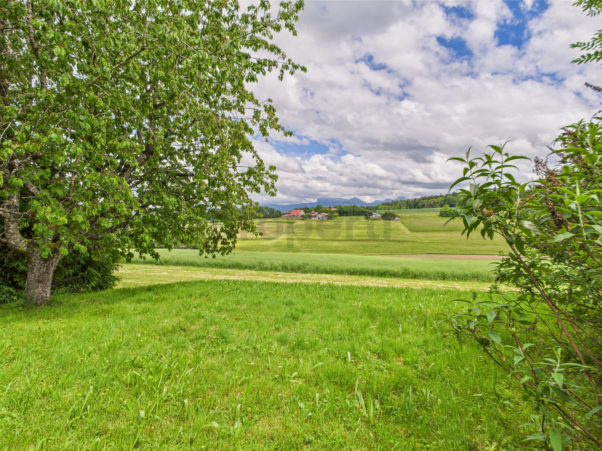 Landschaft mit Wiese und Fernblick