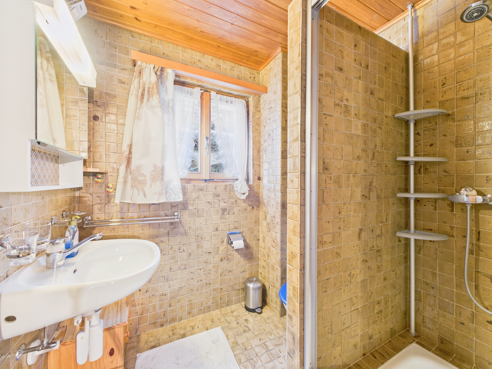 Badezimmer mit Duschbereich und Fenster