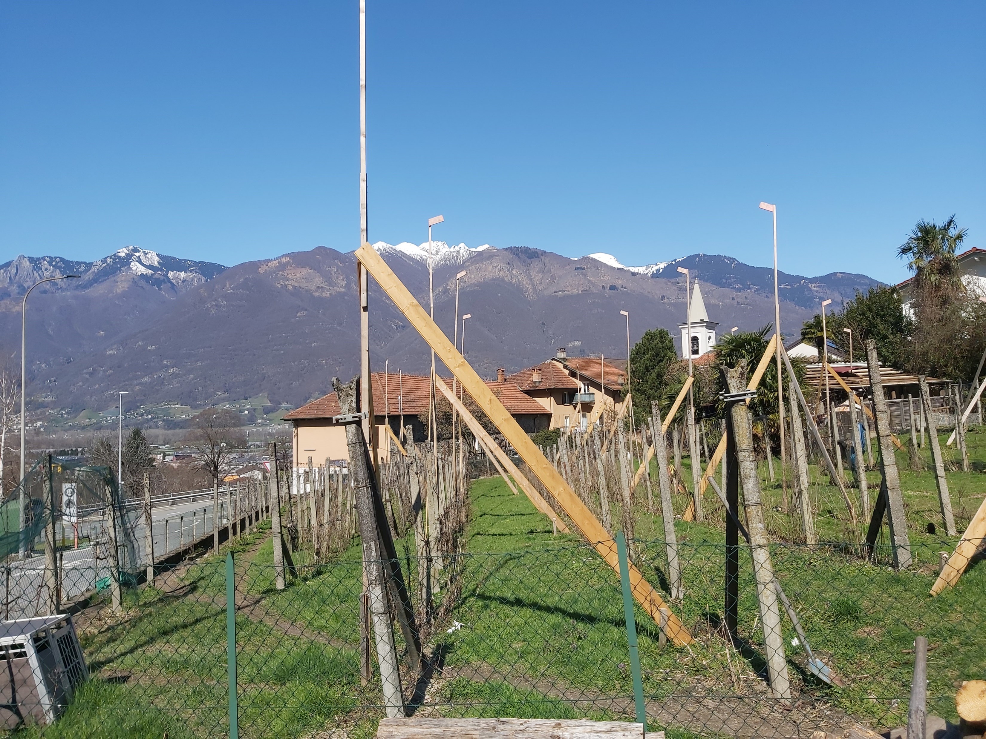 Bergblick über ein umzäuntes Grundstück mit jungen Bäumen