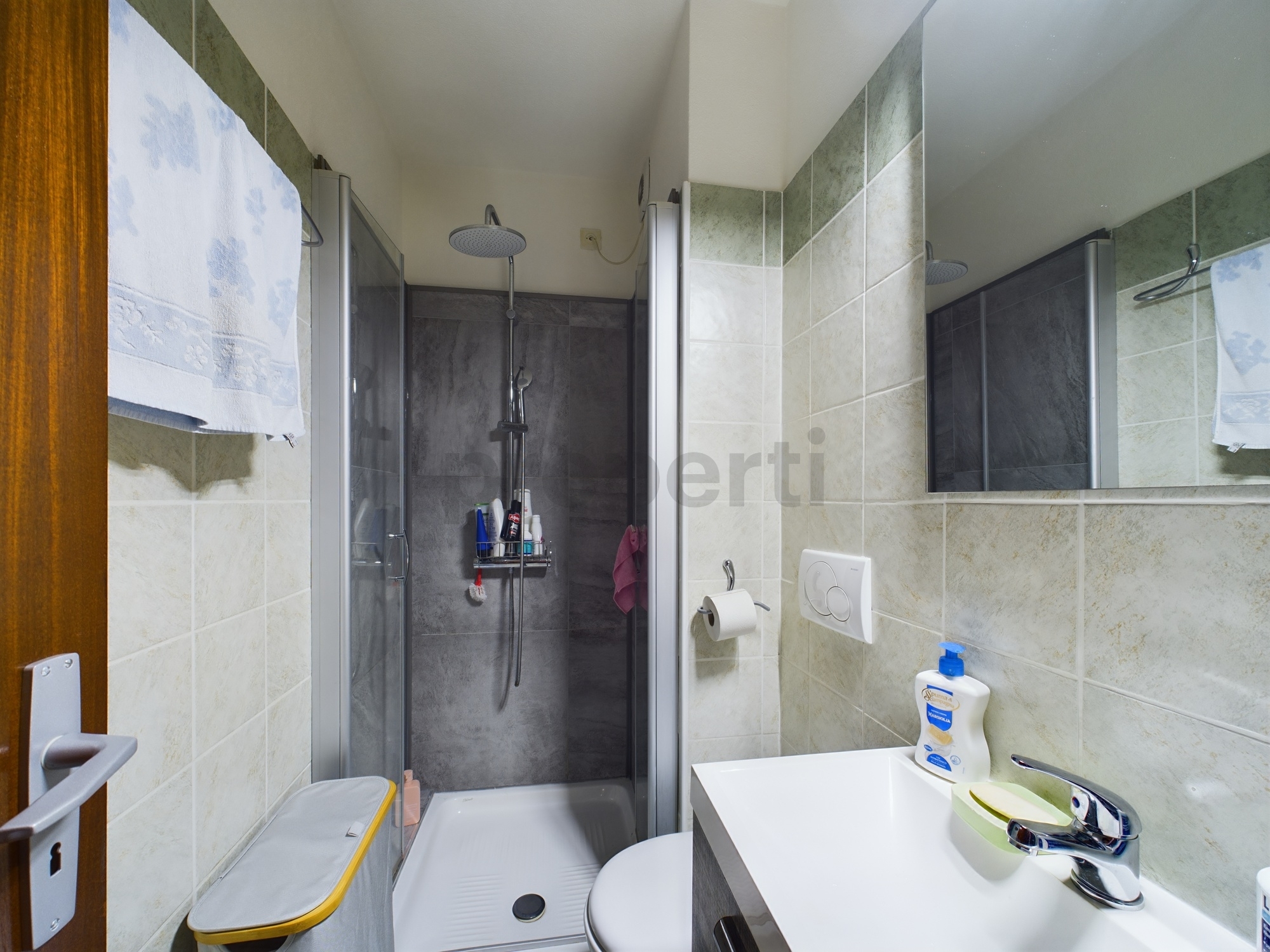 Kleines modernes Badezimmer mit Dusche und Waschbecken