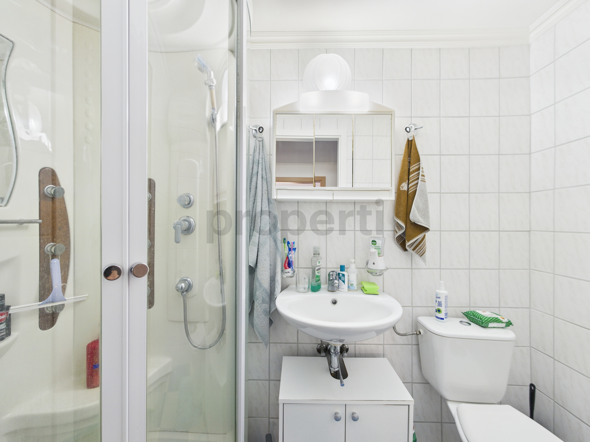 Kleines weißes Badezimmer mit Dusche und WC